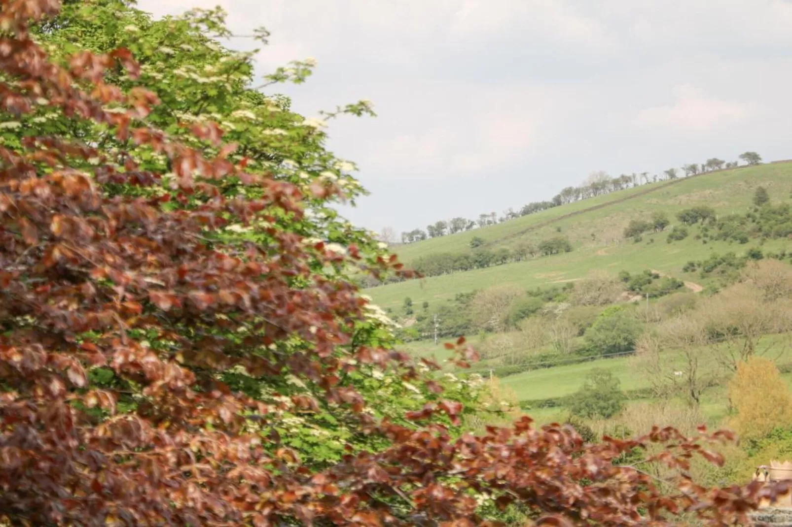 Westcote Cottage-Areas within 5km in summer