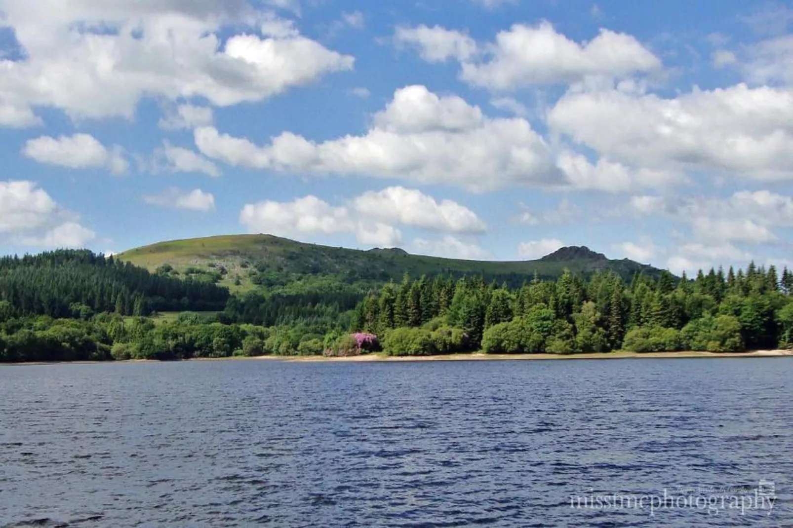 Little Dunley - The Tiny House-Areas within 20km in summer