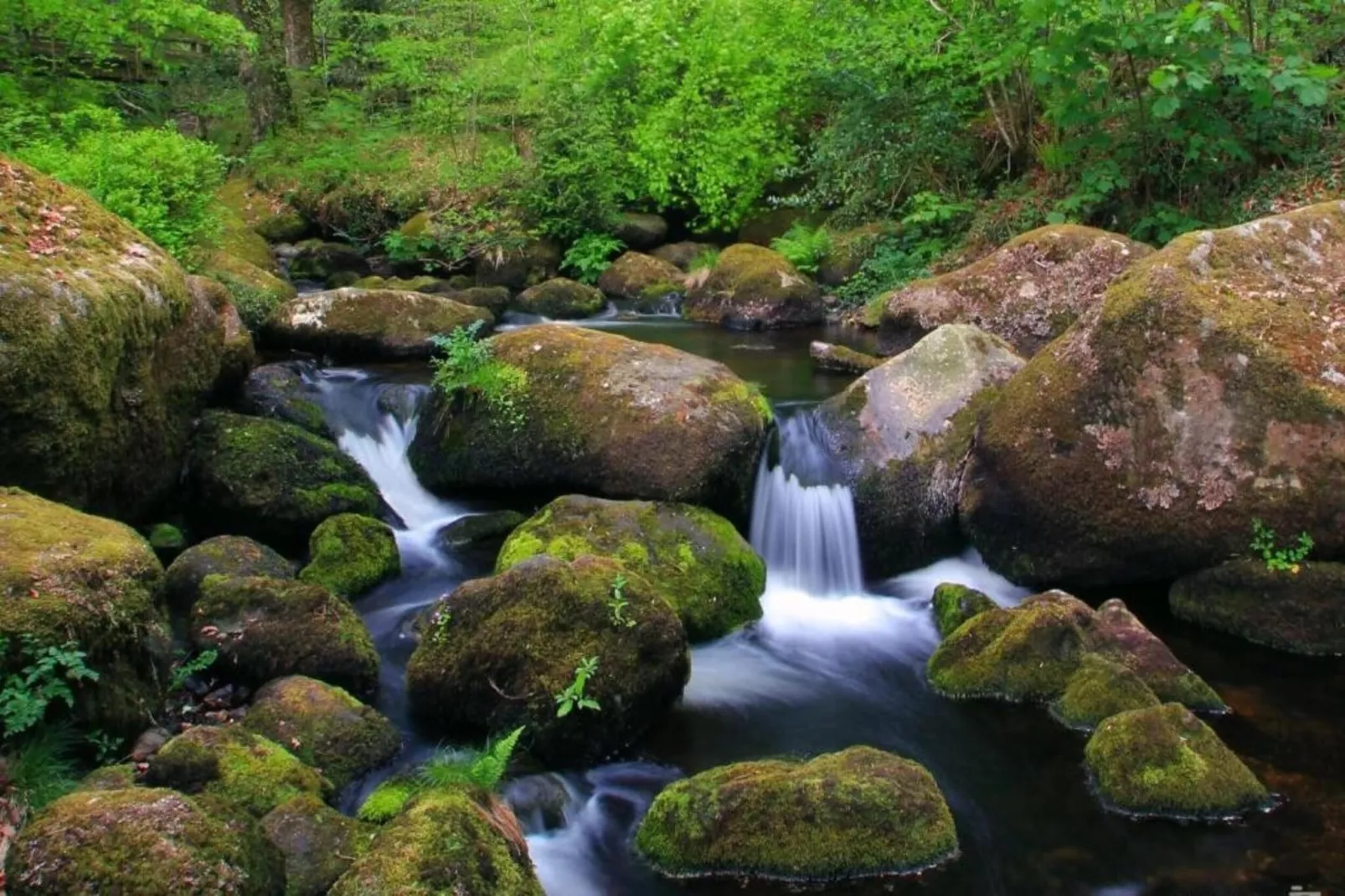 Little Dunley - Apple Lodge-Areas within 5km in summer