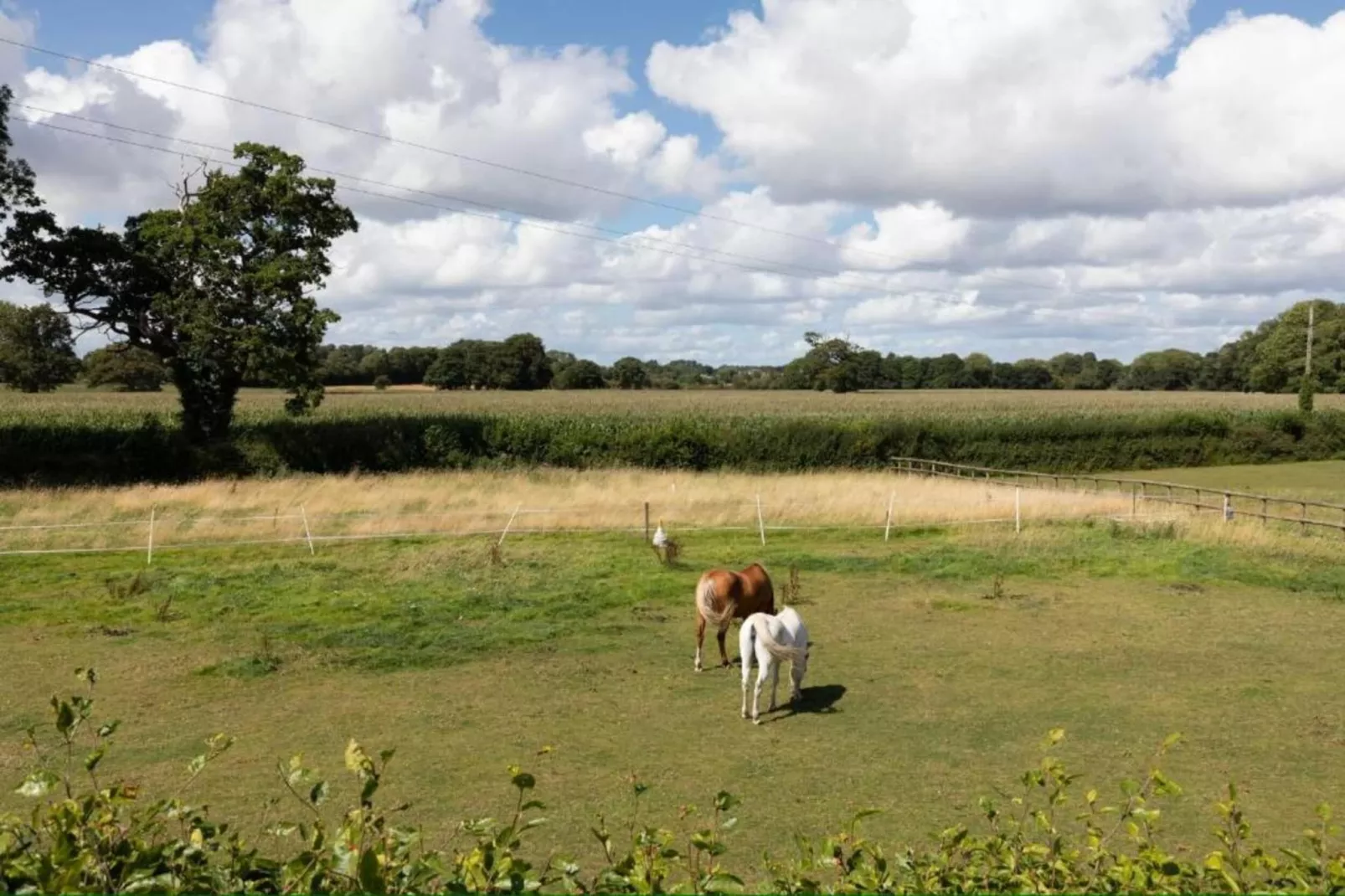 Netley Hall - Rosemary-Gebiete Sommer 20 km