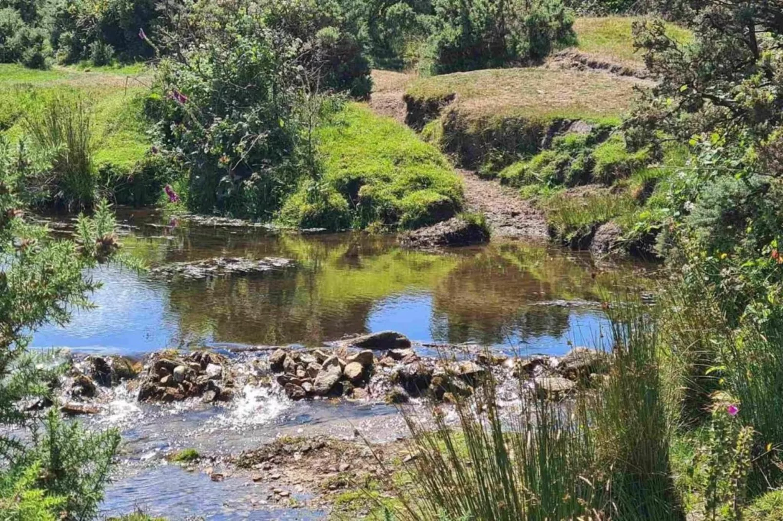Jubilee Barn Cottage at Bodmin Moor-Areas within 5km in summer