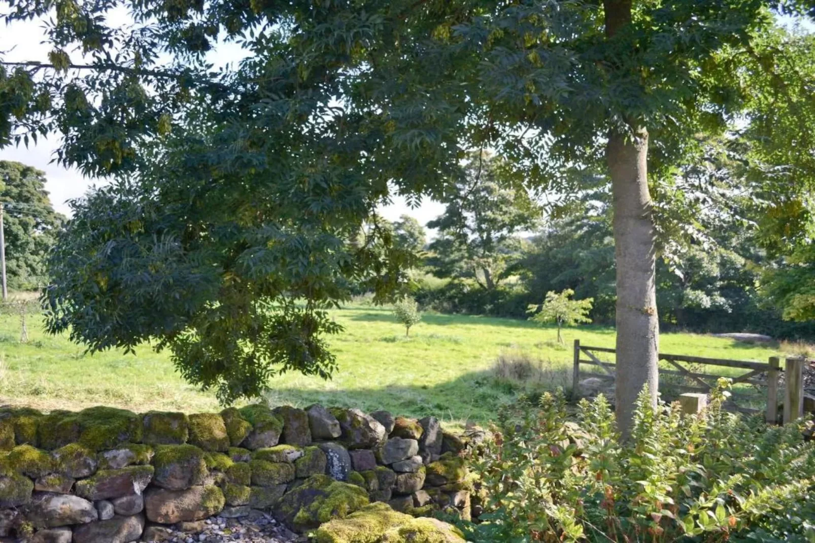 Tyg Cottage near Fountains Abbey & Brimham Rocks-Gebiete Sommer 20 km
