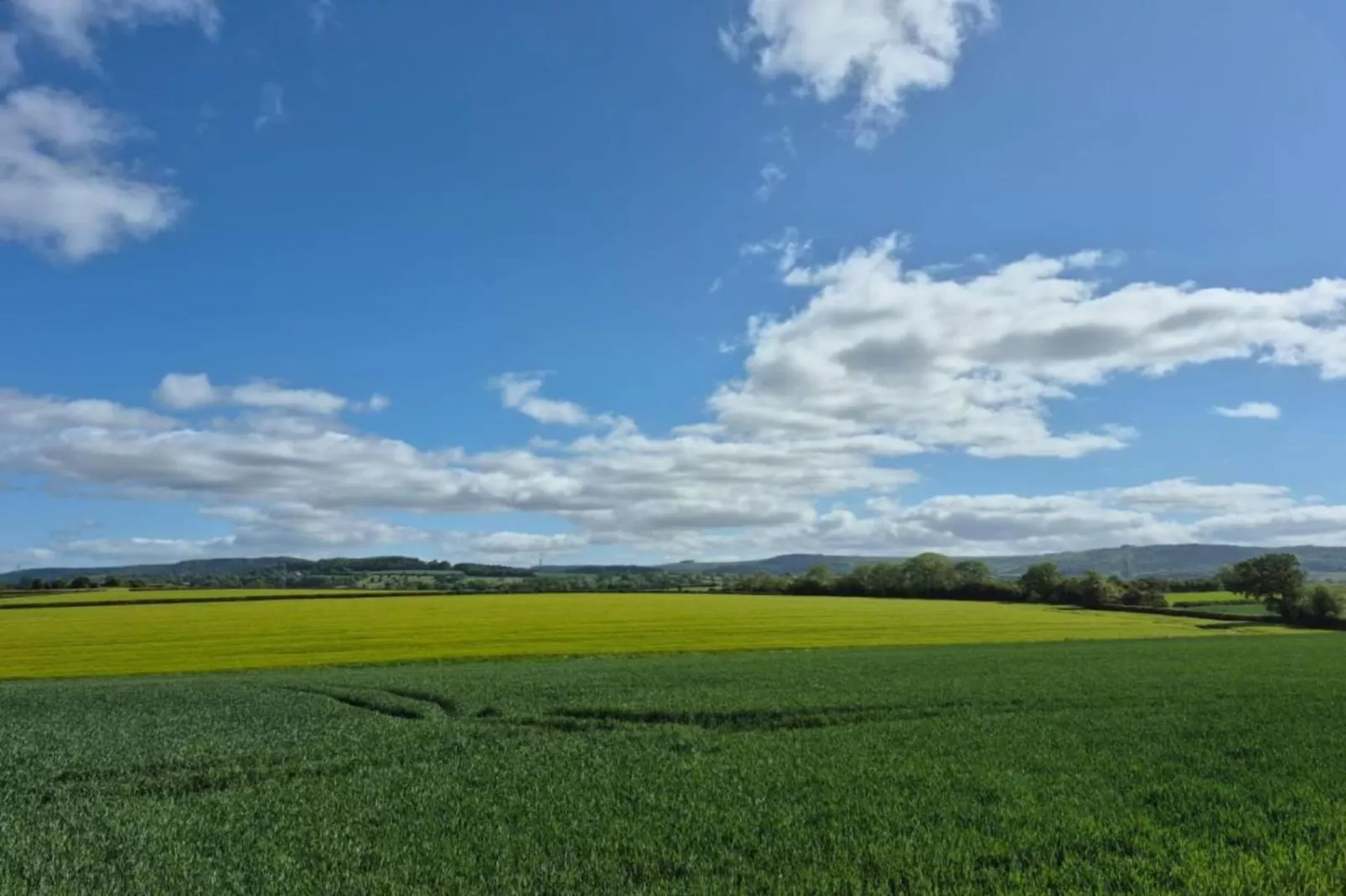 Kilburn Hall Apt-Zones été à 5 km