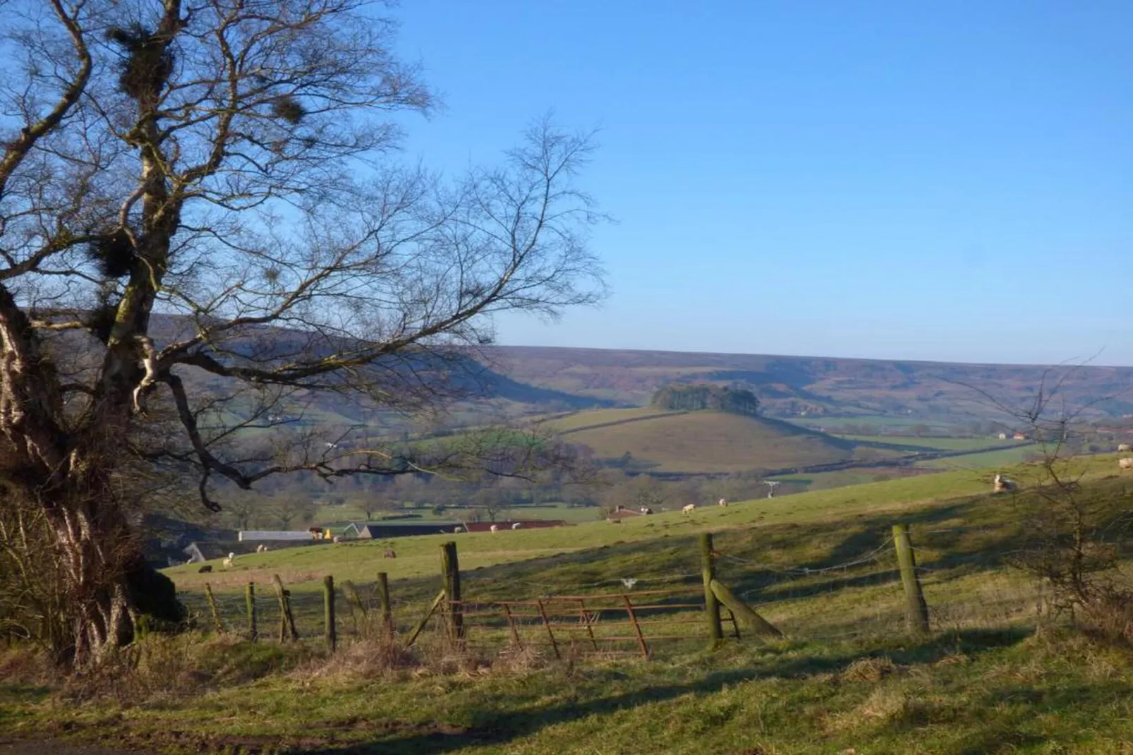 Rosedale Hall Cottage-Zones été à 20 km