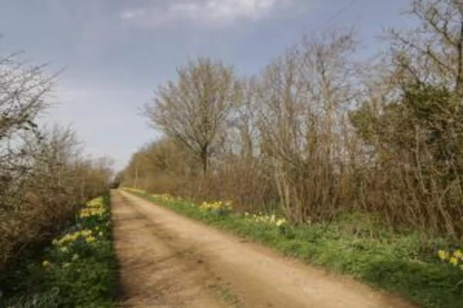 The Campion-Areas within 20km in summer