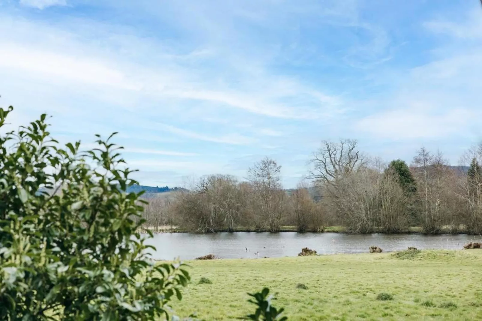 Netley Hall - Lavender-Areas within 5km in summer