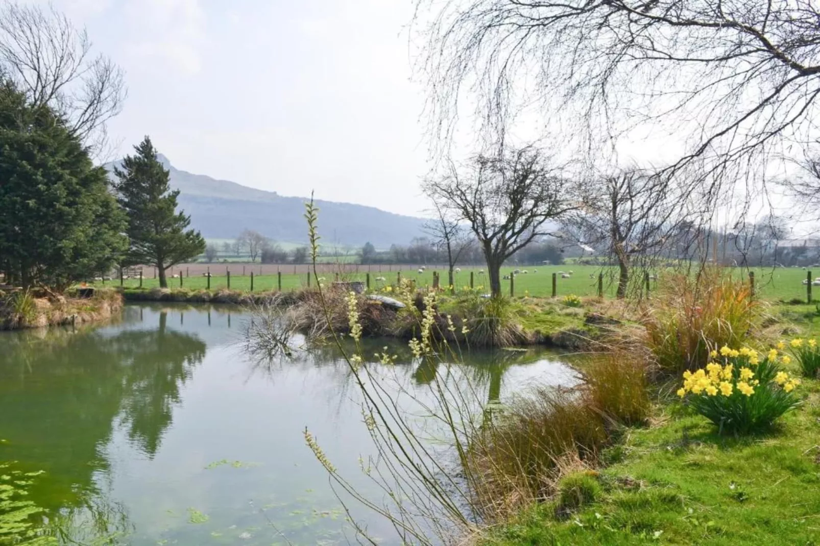 Ingleby Manor - Courtyard Cottage-Gebiete Sommer 20 km