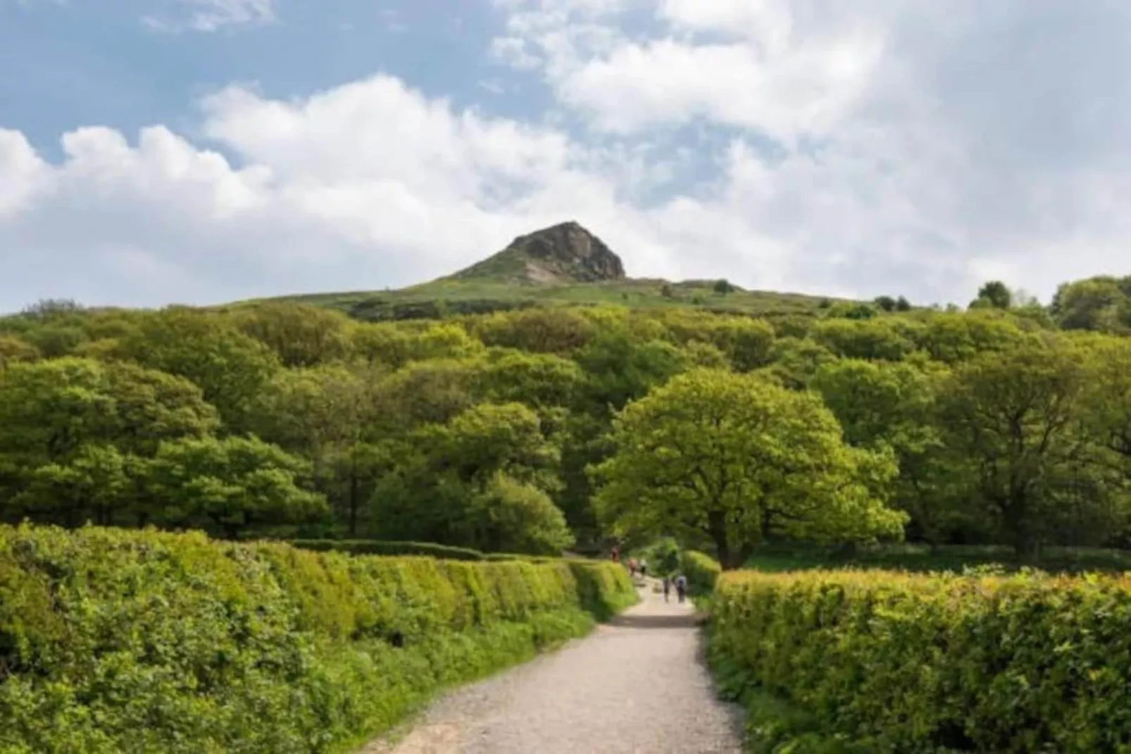 Ingleby Manor - Manor Cottage-Gebiete Sommer 20 km