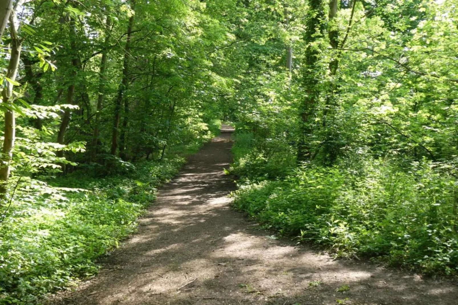 The Flower Hut-Gebiete Sommer 5 km