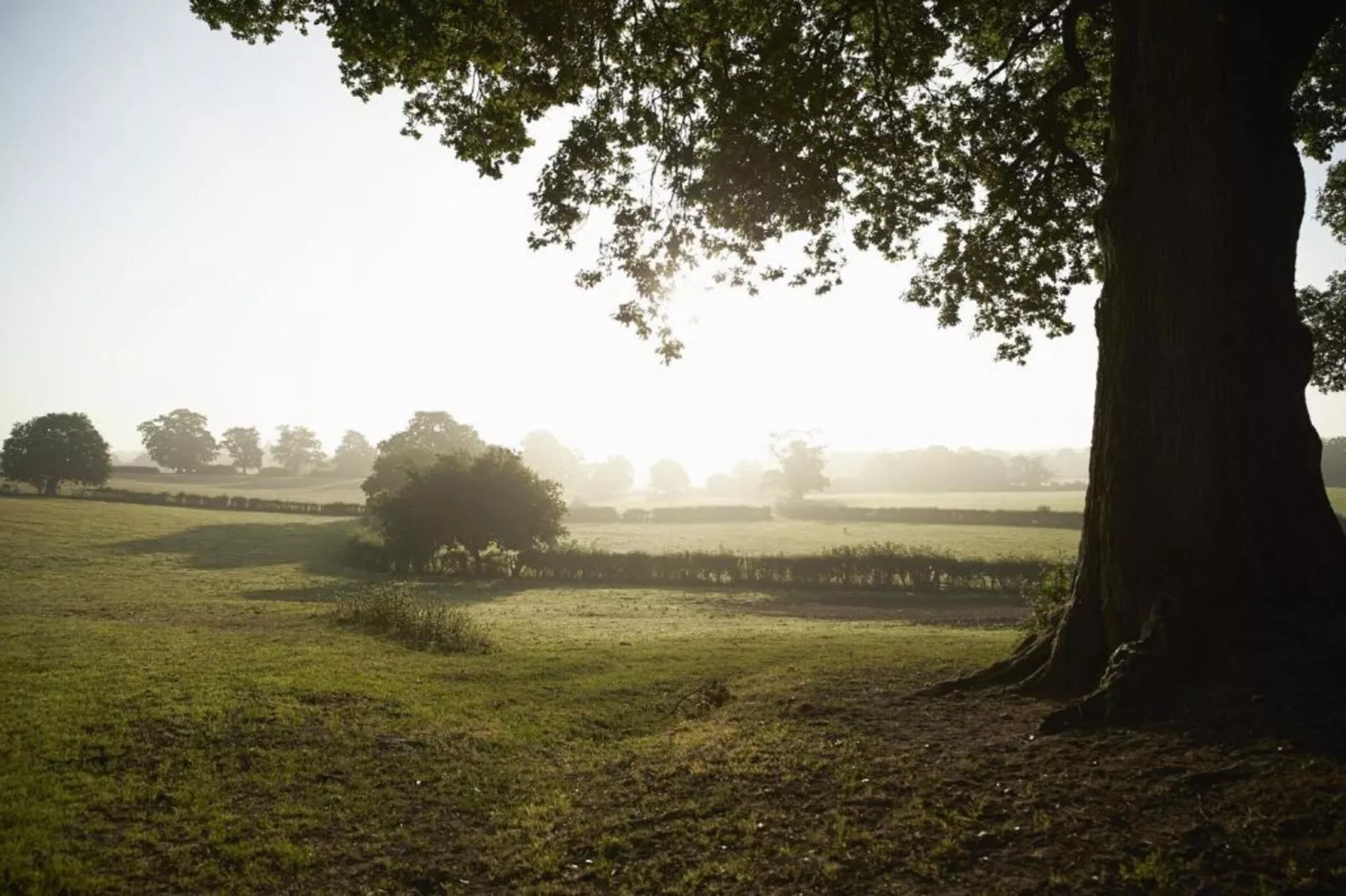 Little Rissington - The Studio Apartment-Areas within 20km in summer
