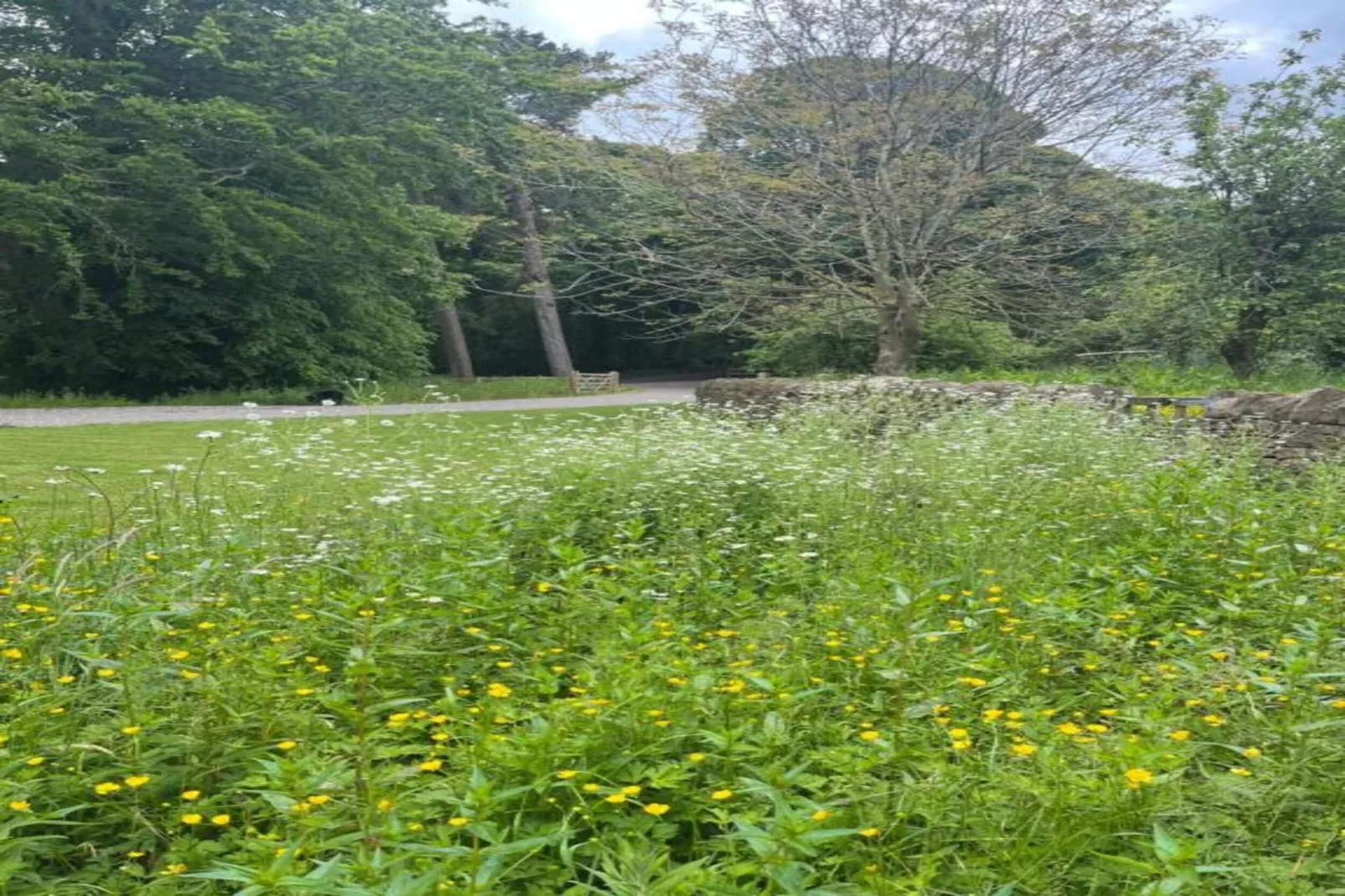 Blackcleugh Glamping-Zones été à 5 km