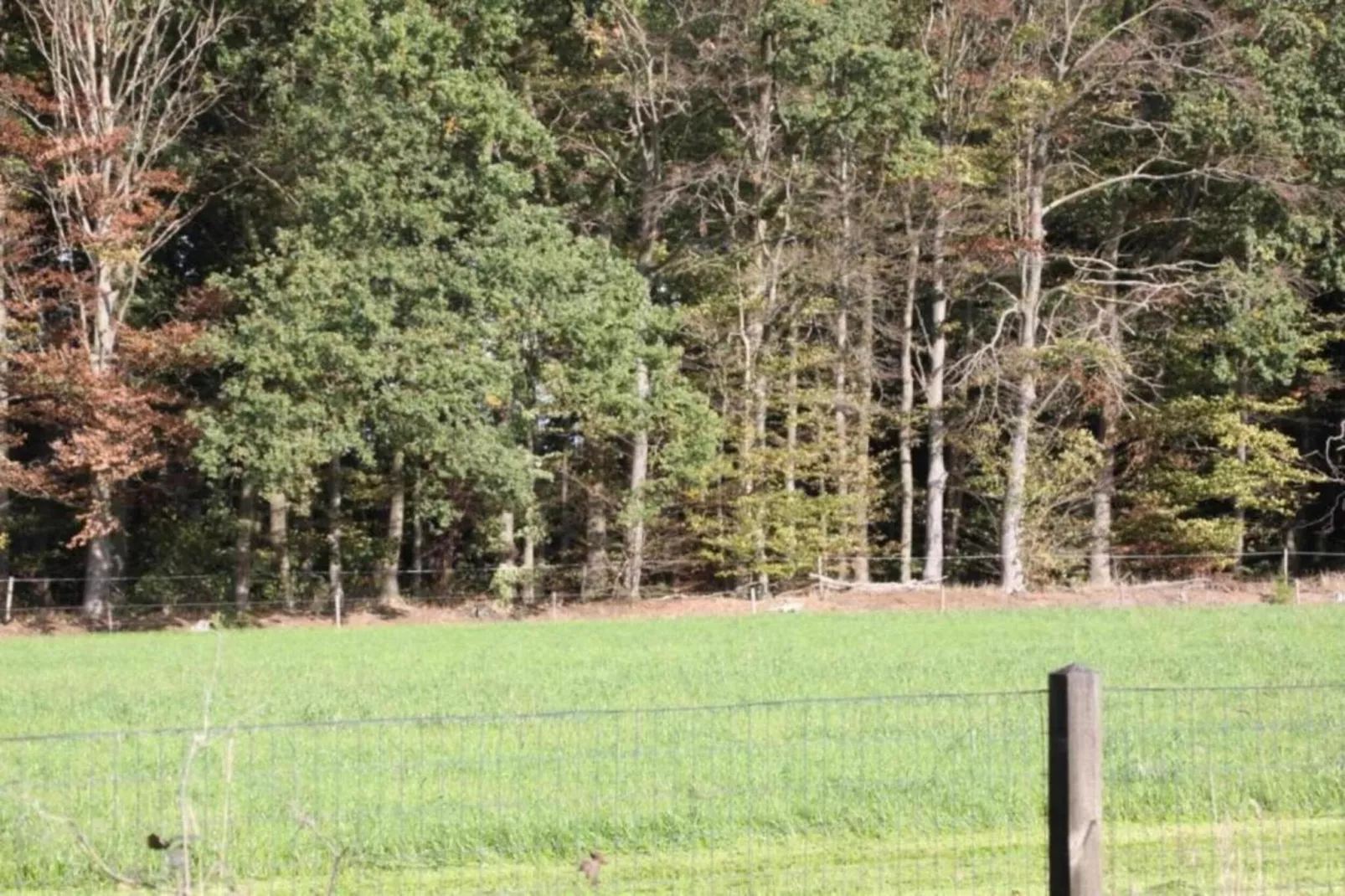 Chalet Egel-Areas within 20km in summer