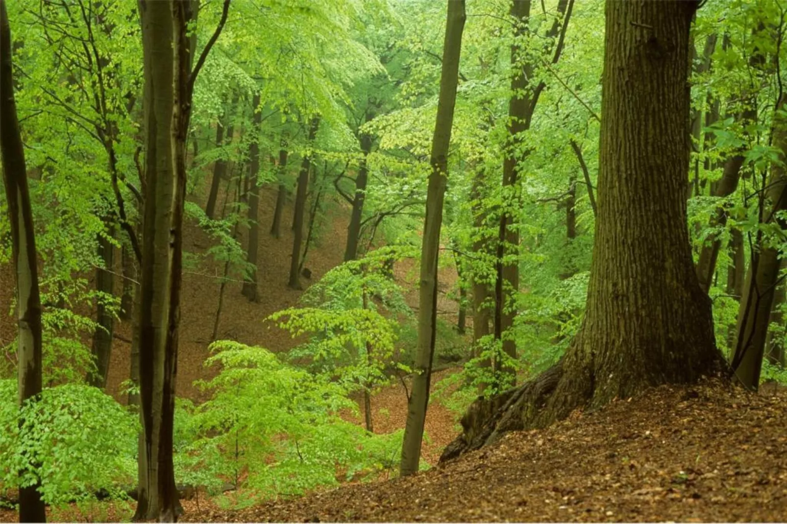 Strandpark Vlugtenburg 15-Zones été à 20 km