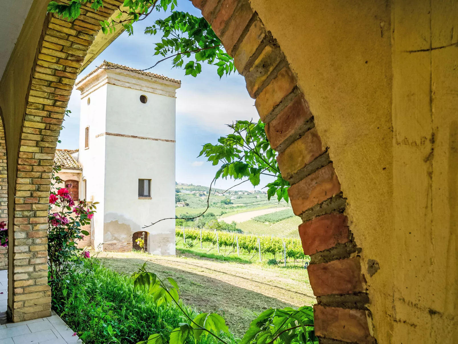 Torretta