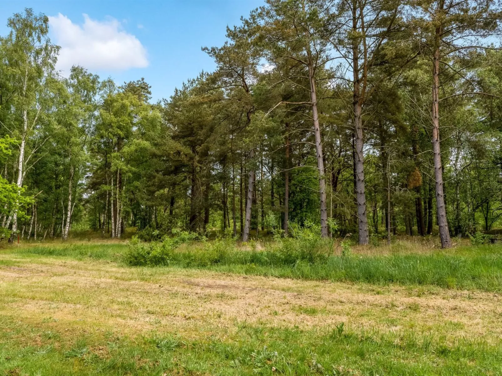 "Bæver" - 1km from the sea-Draußen