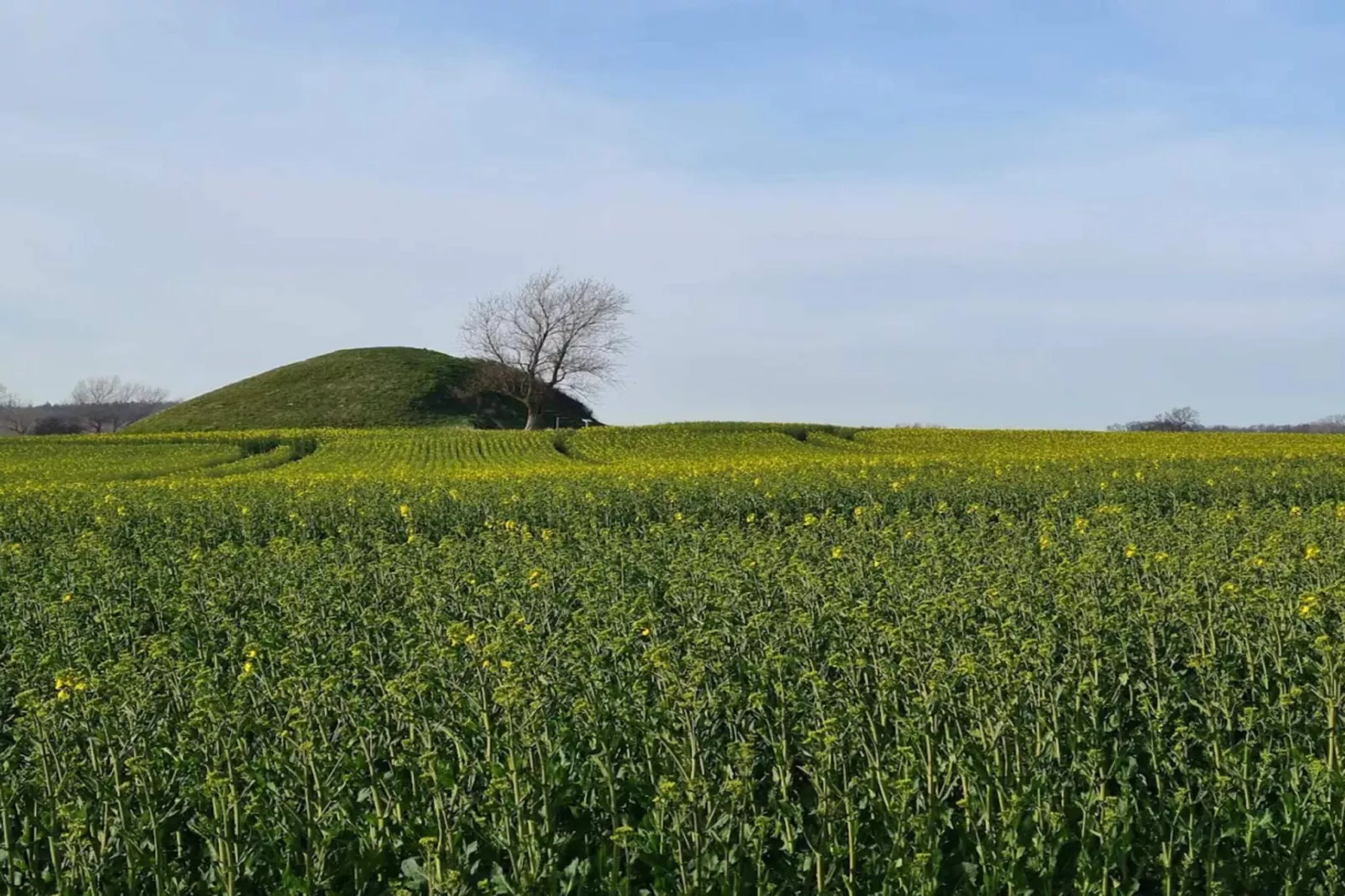4 Personen Ferienhaus in Martofte
