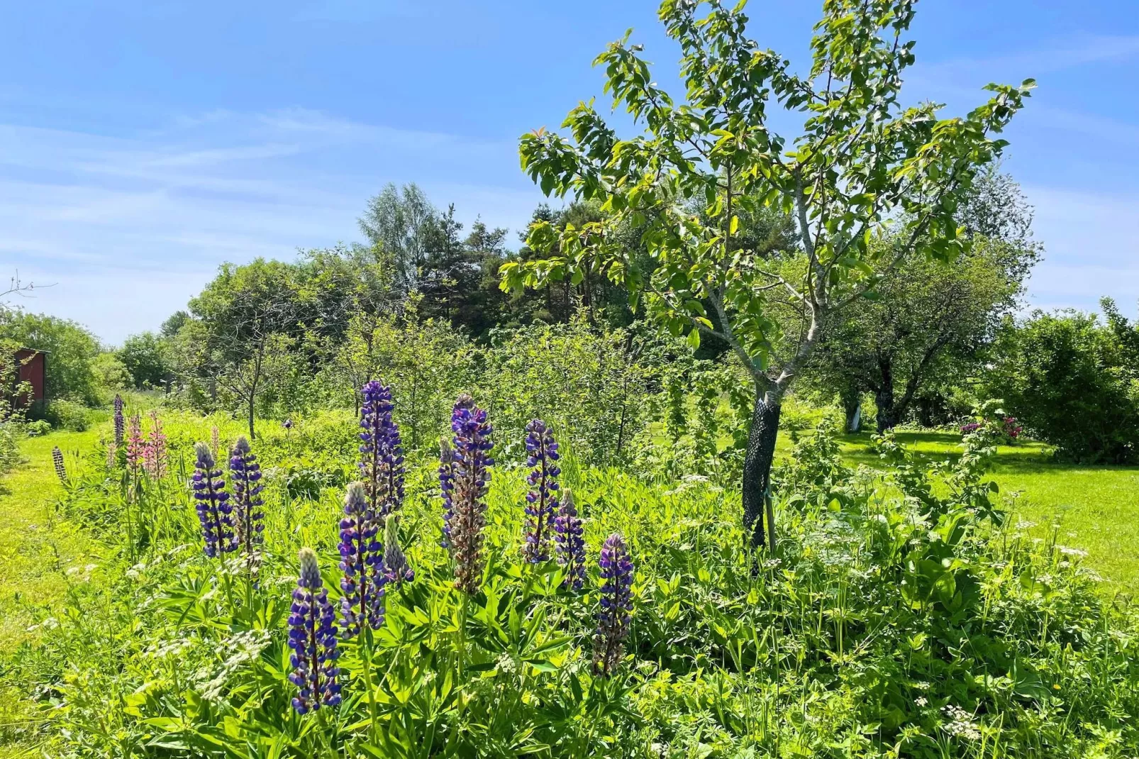 Charming Garden Cottage in Levide-Outdoor
