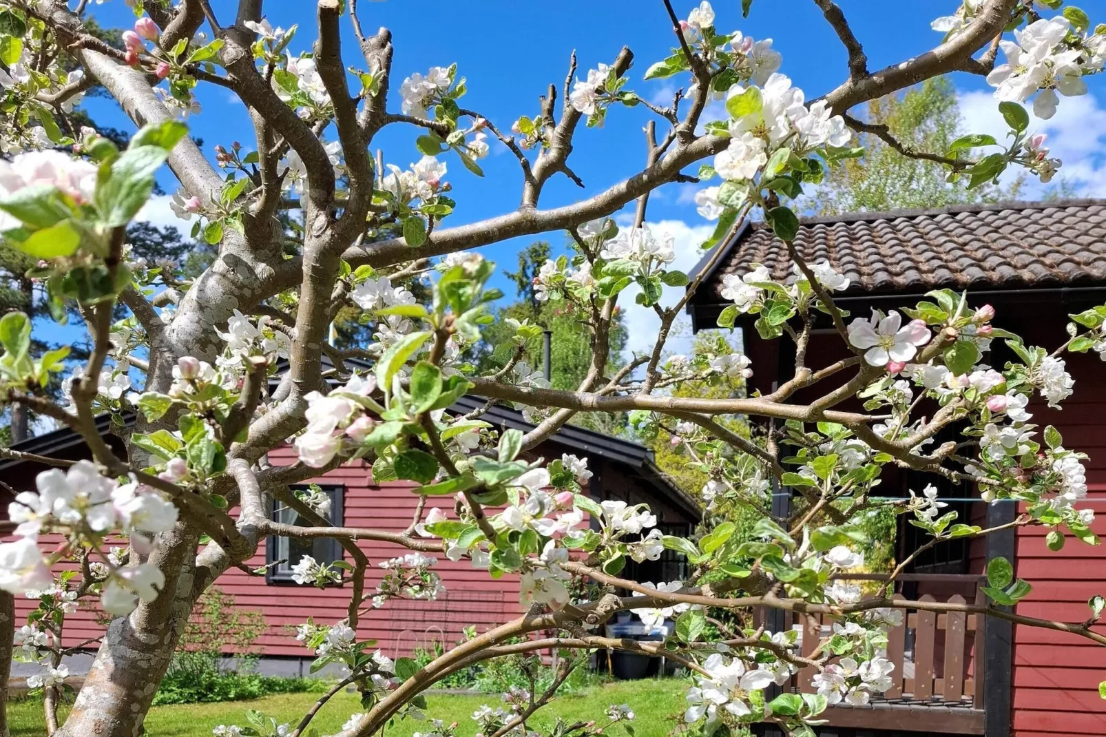 4 star holiday home in NORRTÄLJE-Outdoor