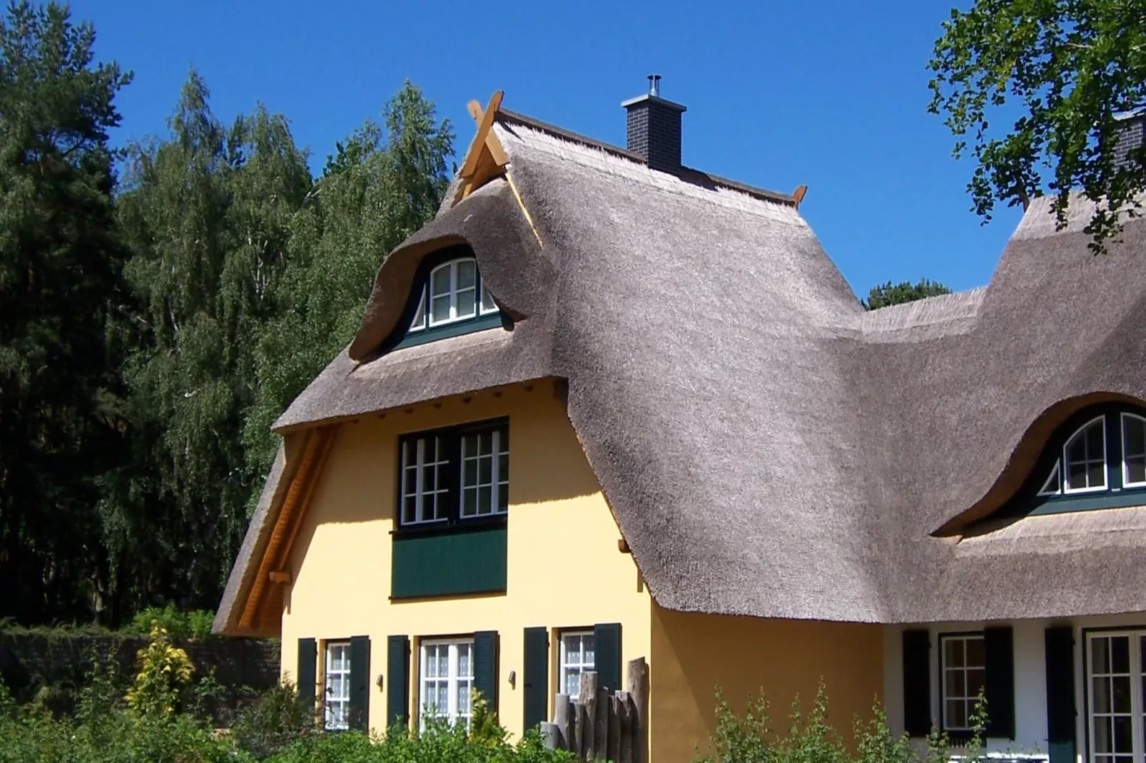 Ferienhaus Küstenwald groß - Strandhotel Fischland