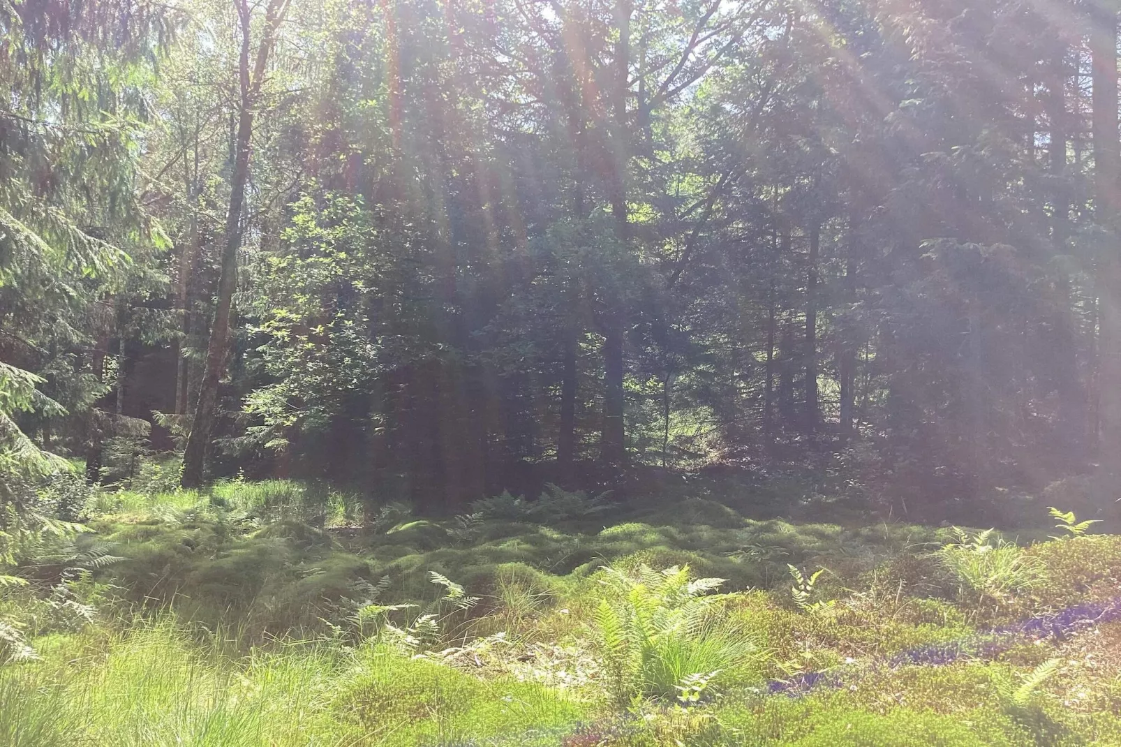 Cabane paisible près du sentier Furufjall-Extérieur