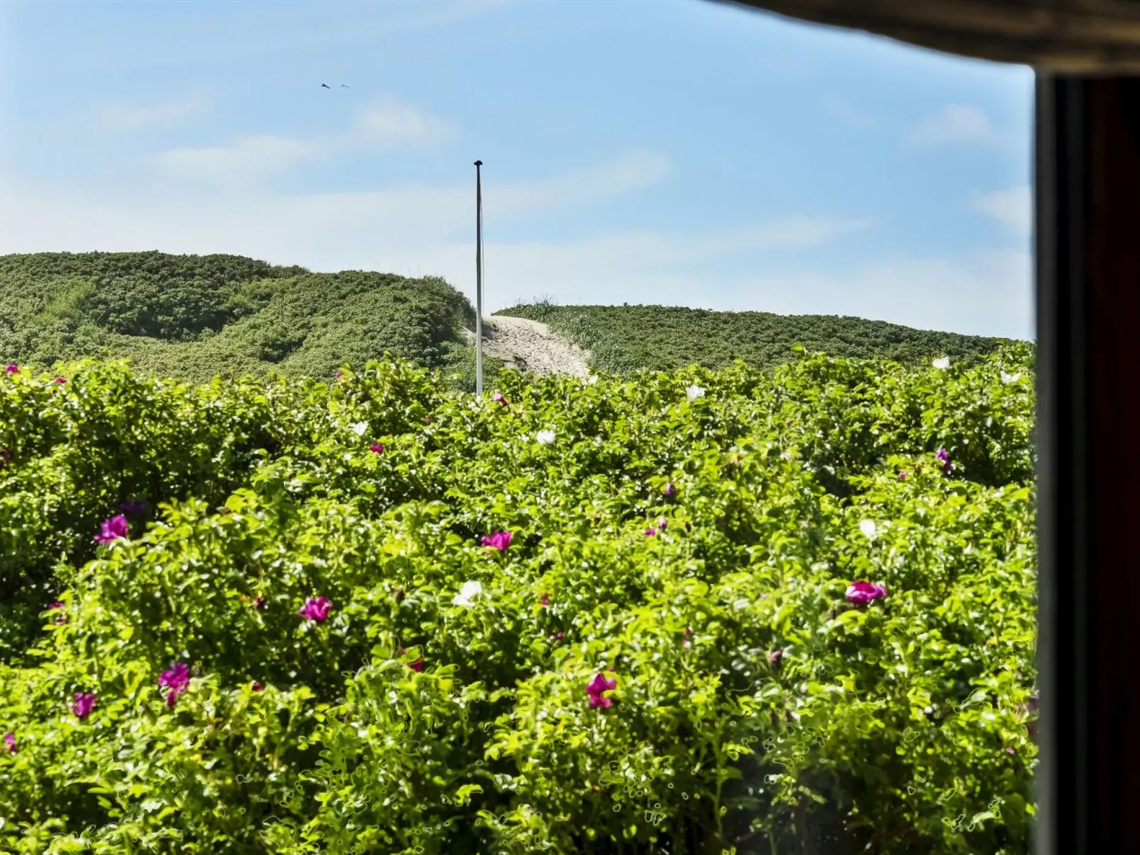 "Georg" - 200m from the sea-Draußen
