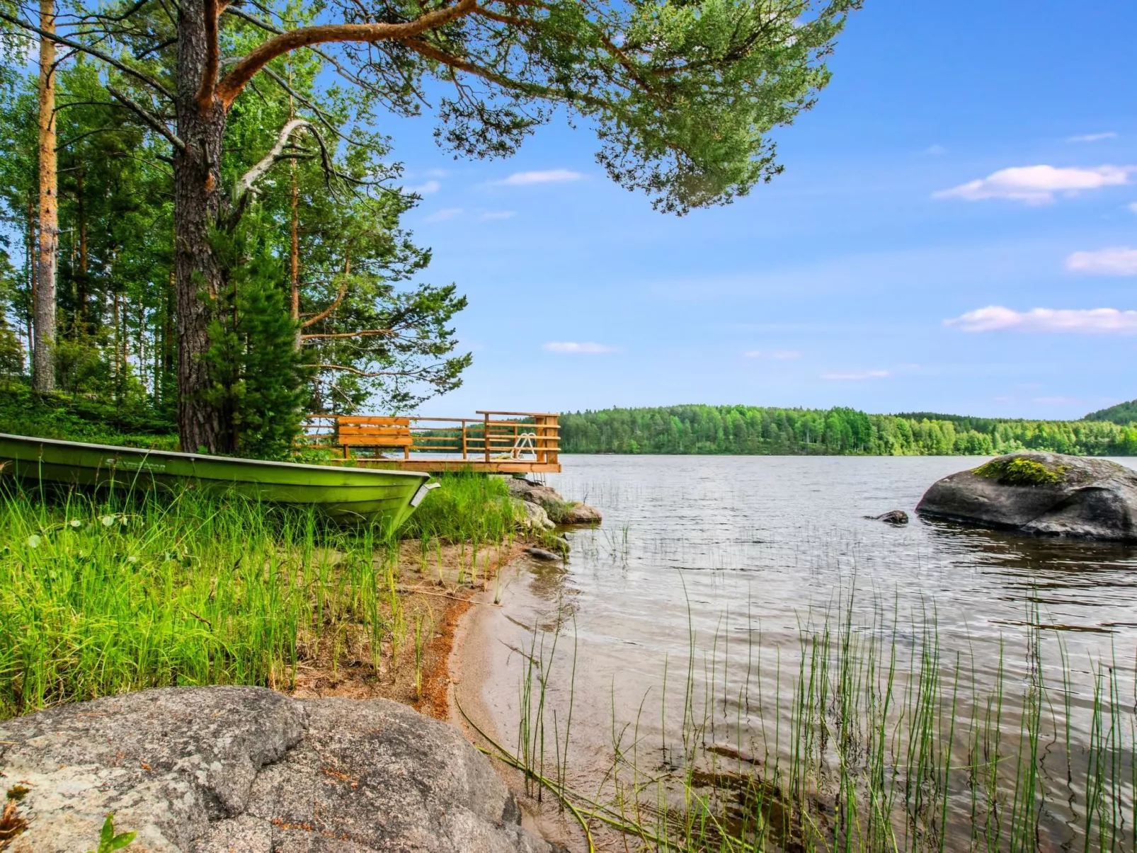 Hanhenpesä