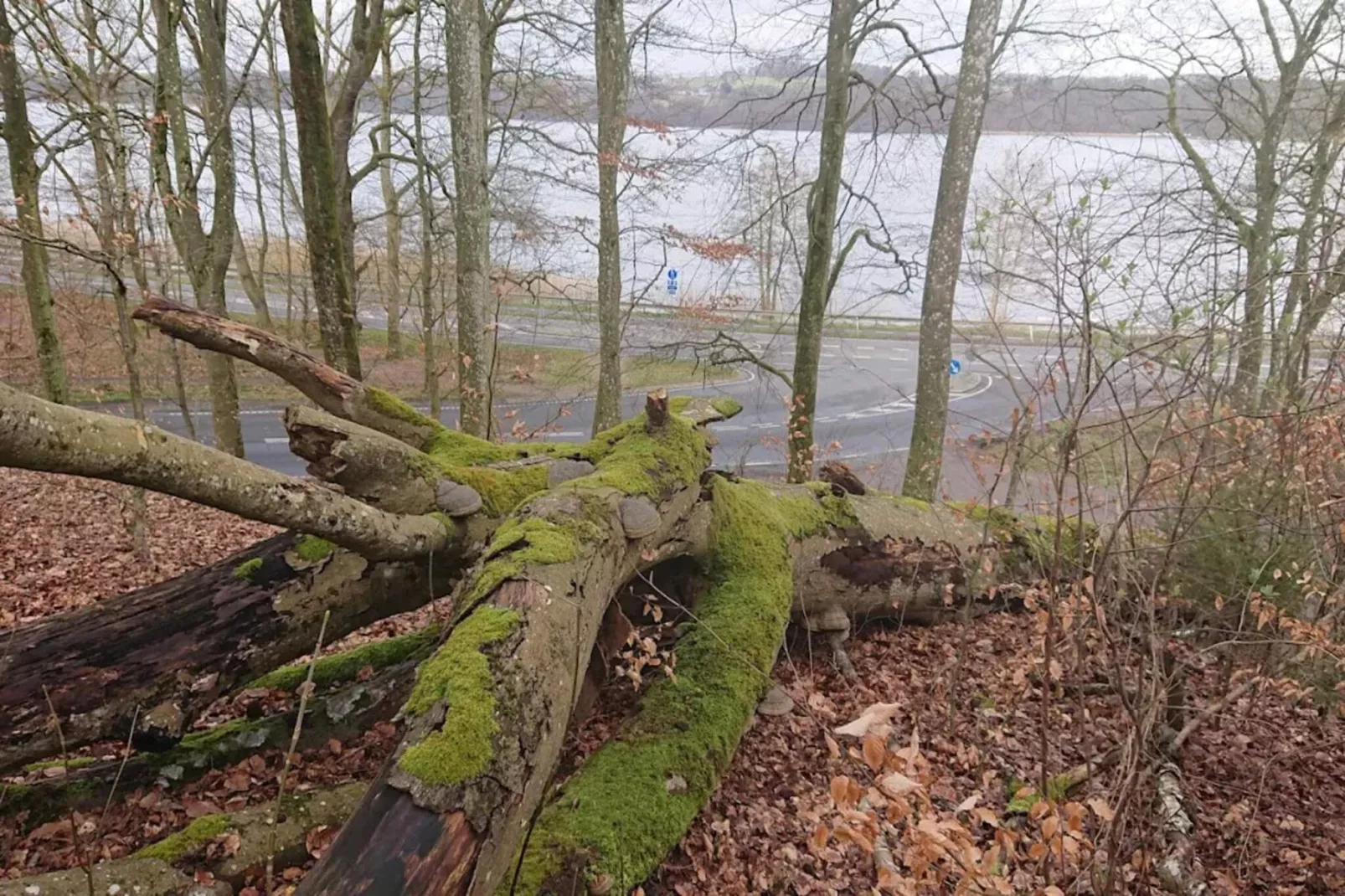 Ruhiger Seeblick-Ruckzugsort in Ry-By Traum-Wasserblick