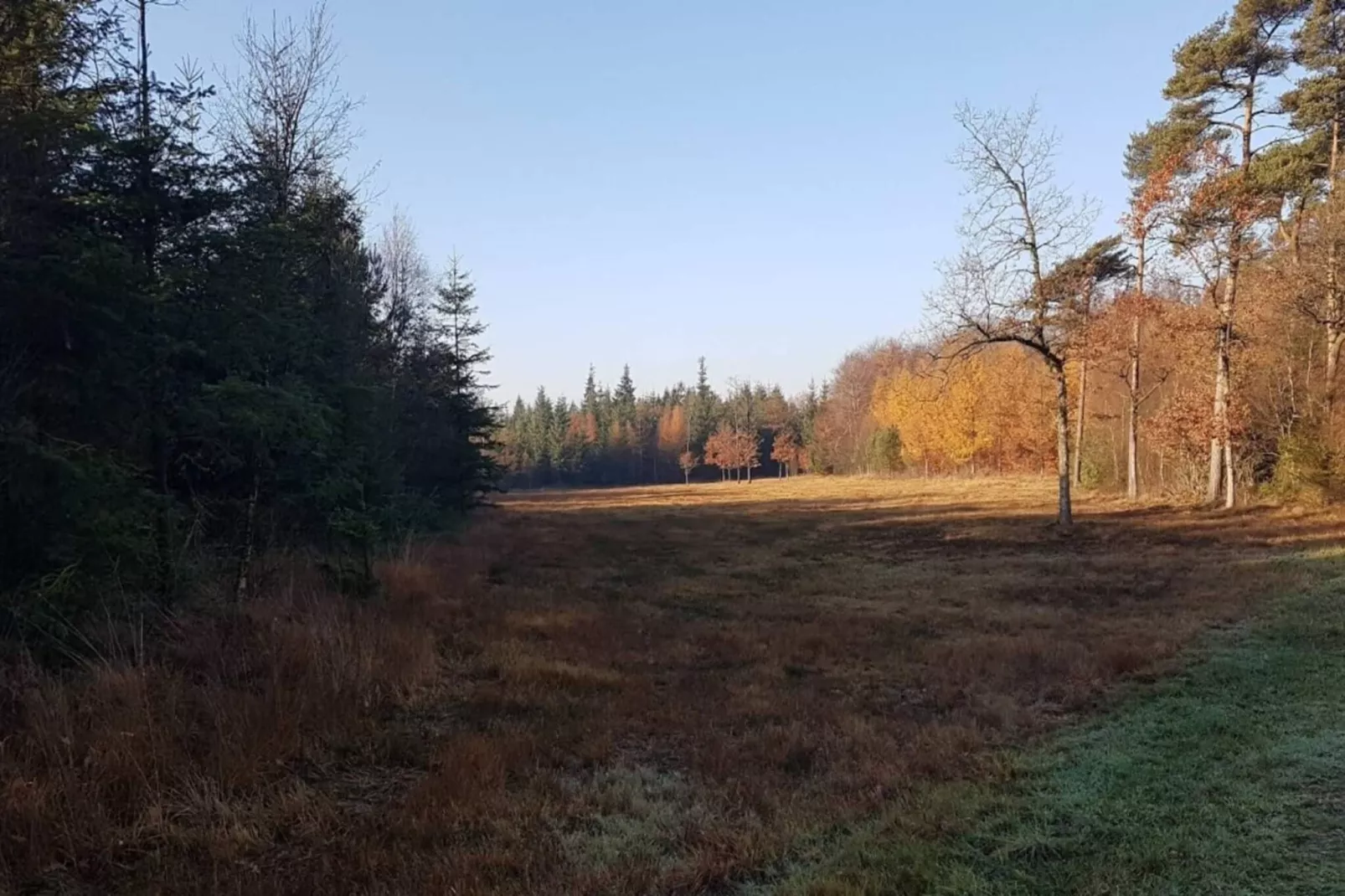 Maison de vacances pour 4 a Skærbæk-By Traum-Non tagué
