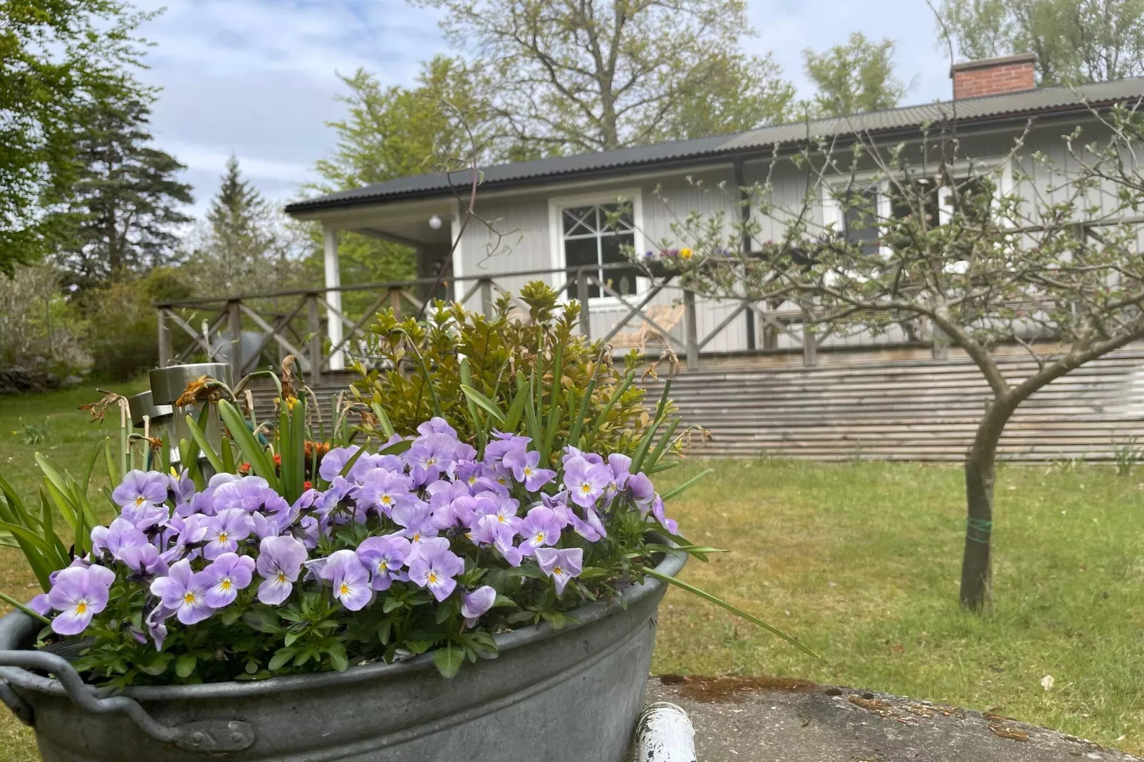6 person holiday home in RONNEBY-By Traum-Outdoor