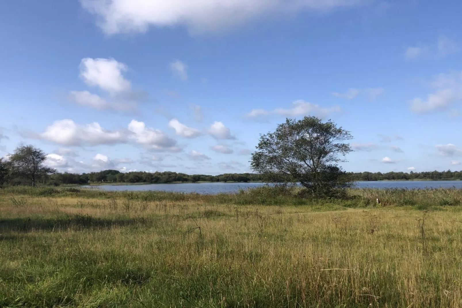 5 Personen Ferienhaus in Ansager-By Traum-Wasserblick