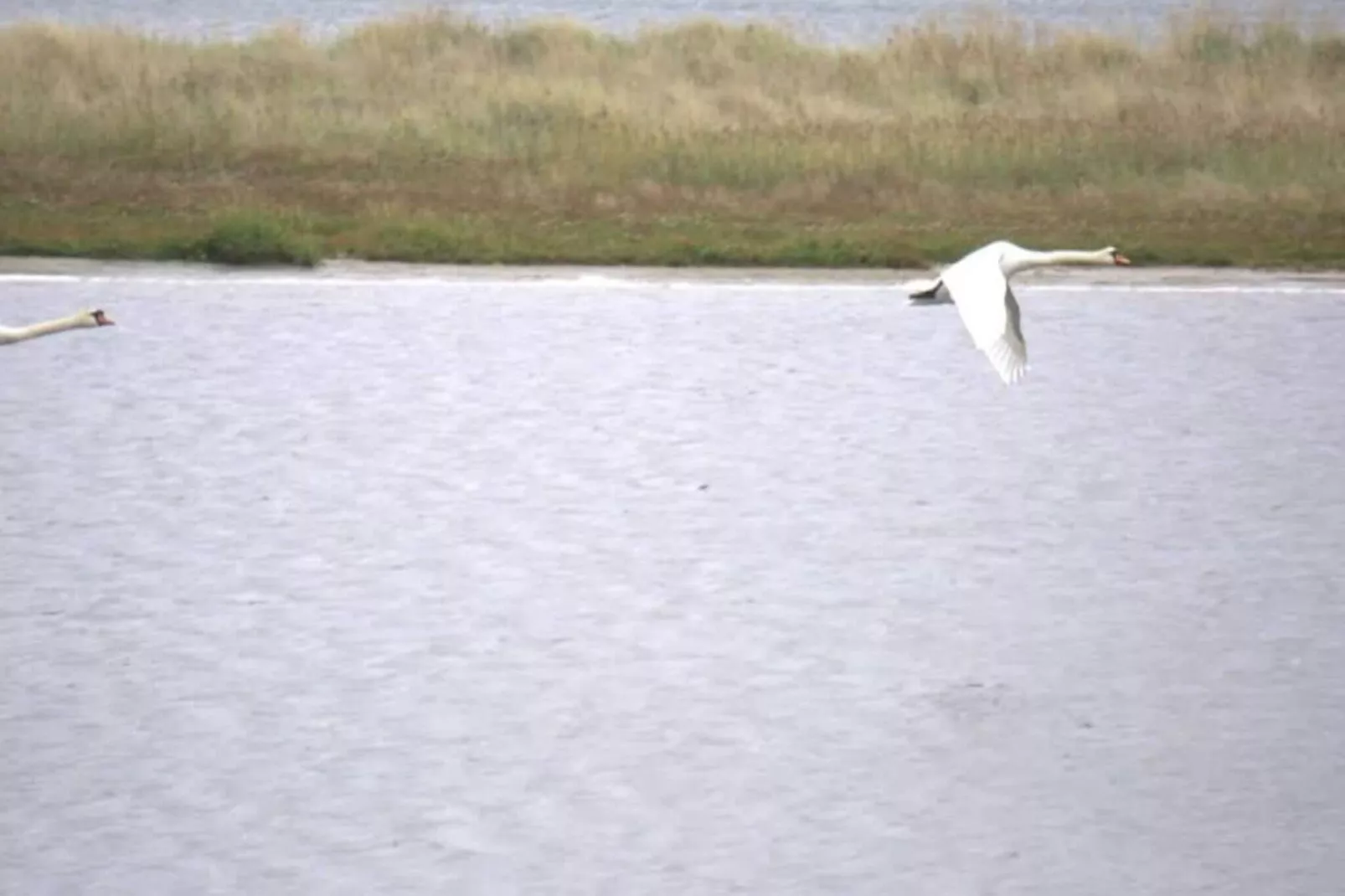 6 person holiday home in Hals-By Traum-Outdoor