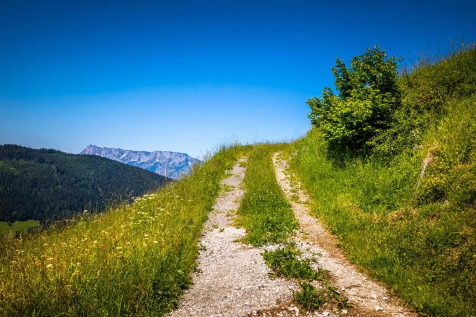 Ferienhaus Rieger-Gebiete Sommer 20 km