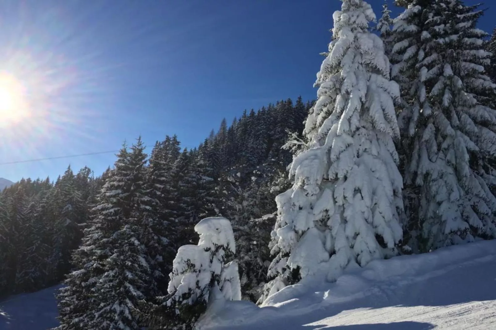 Oberkranzhof xl-Area within 20km in winter