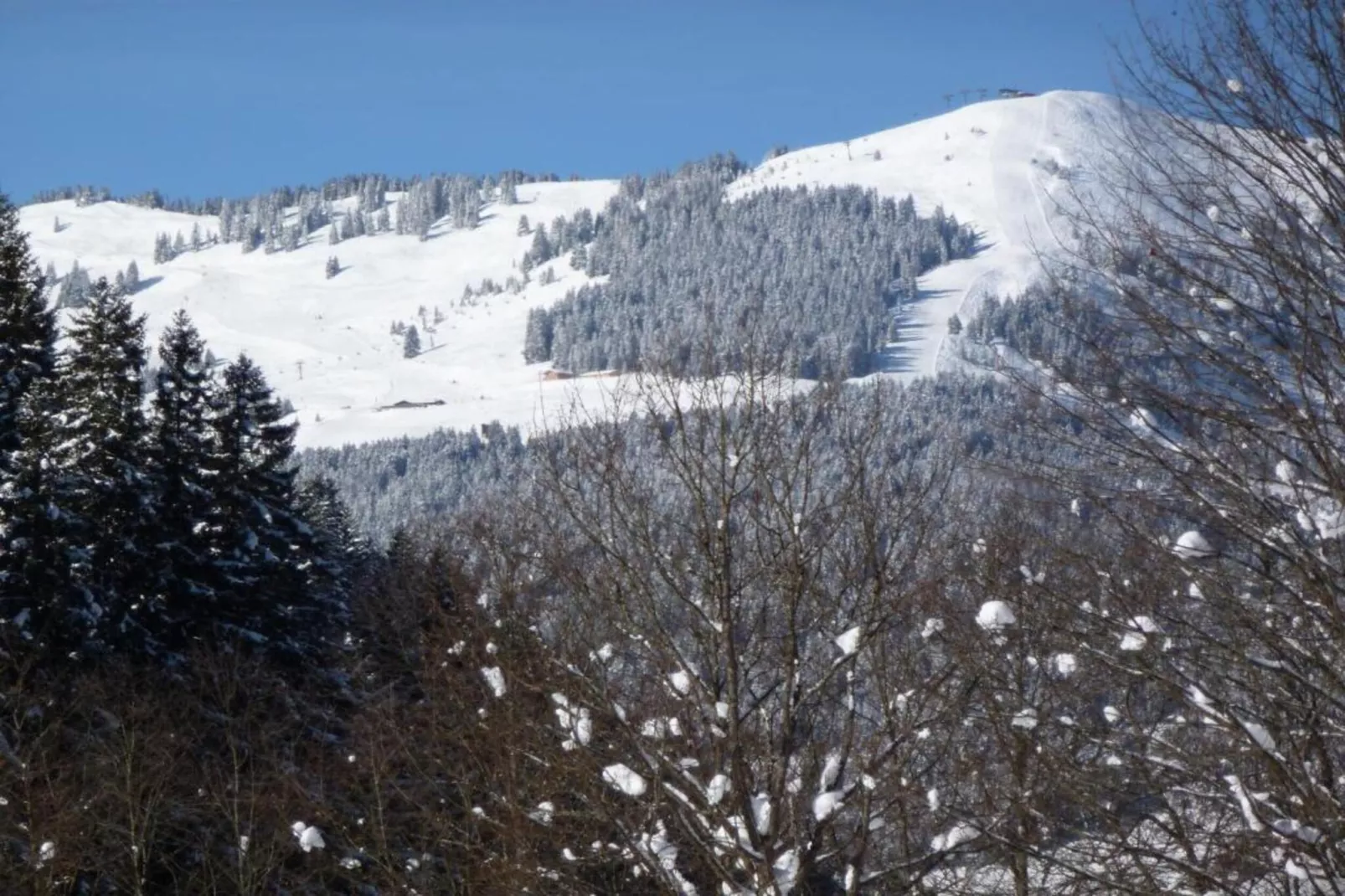 Chalet Apartment Mittenwald XL-Area within 20km in winter