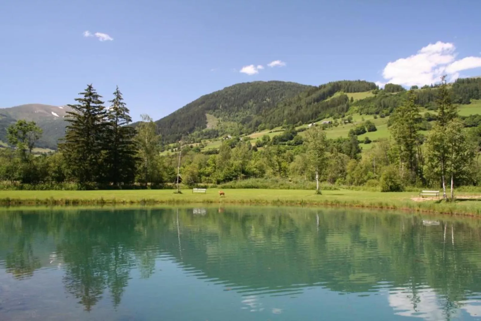 The Austrian Chalet-Areas within 20km in summer