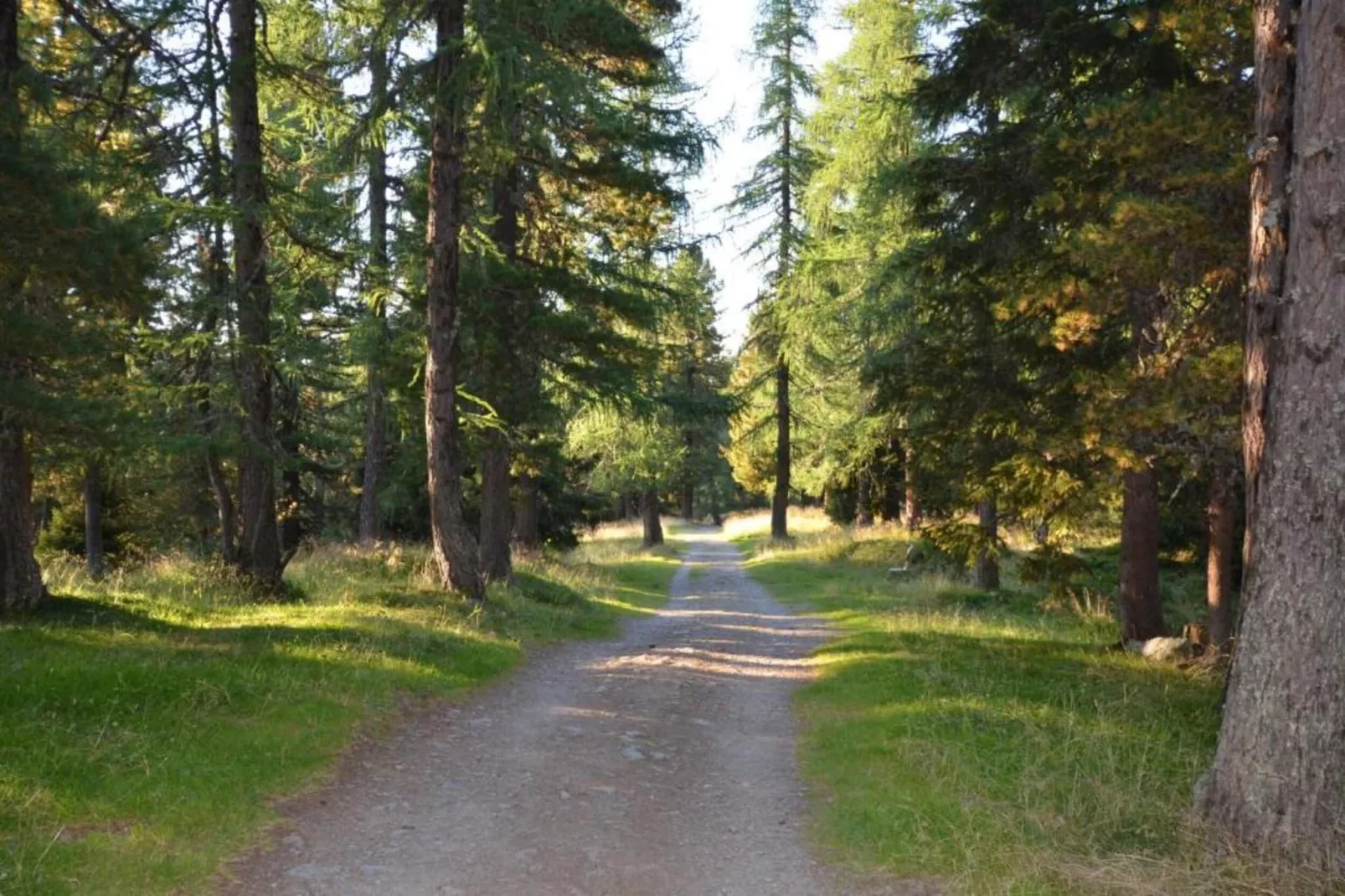 Appartement Mitterberg-Zones d'été à 20 km