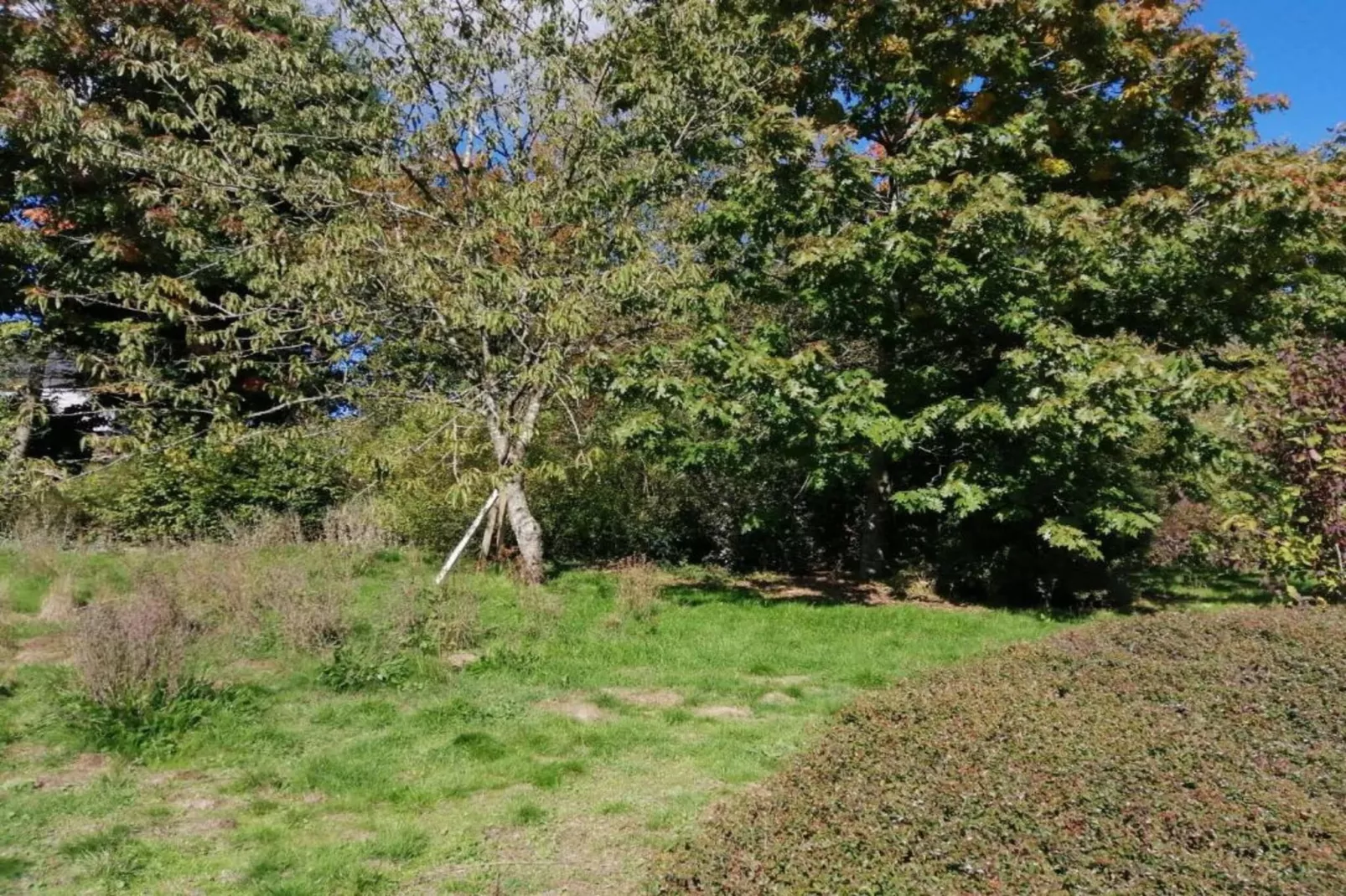 Le Grand Moulin de Denée-Gebiete Sommer 5 km