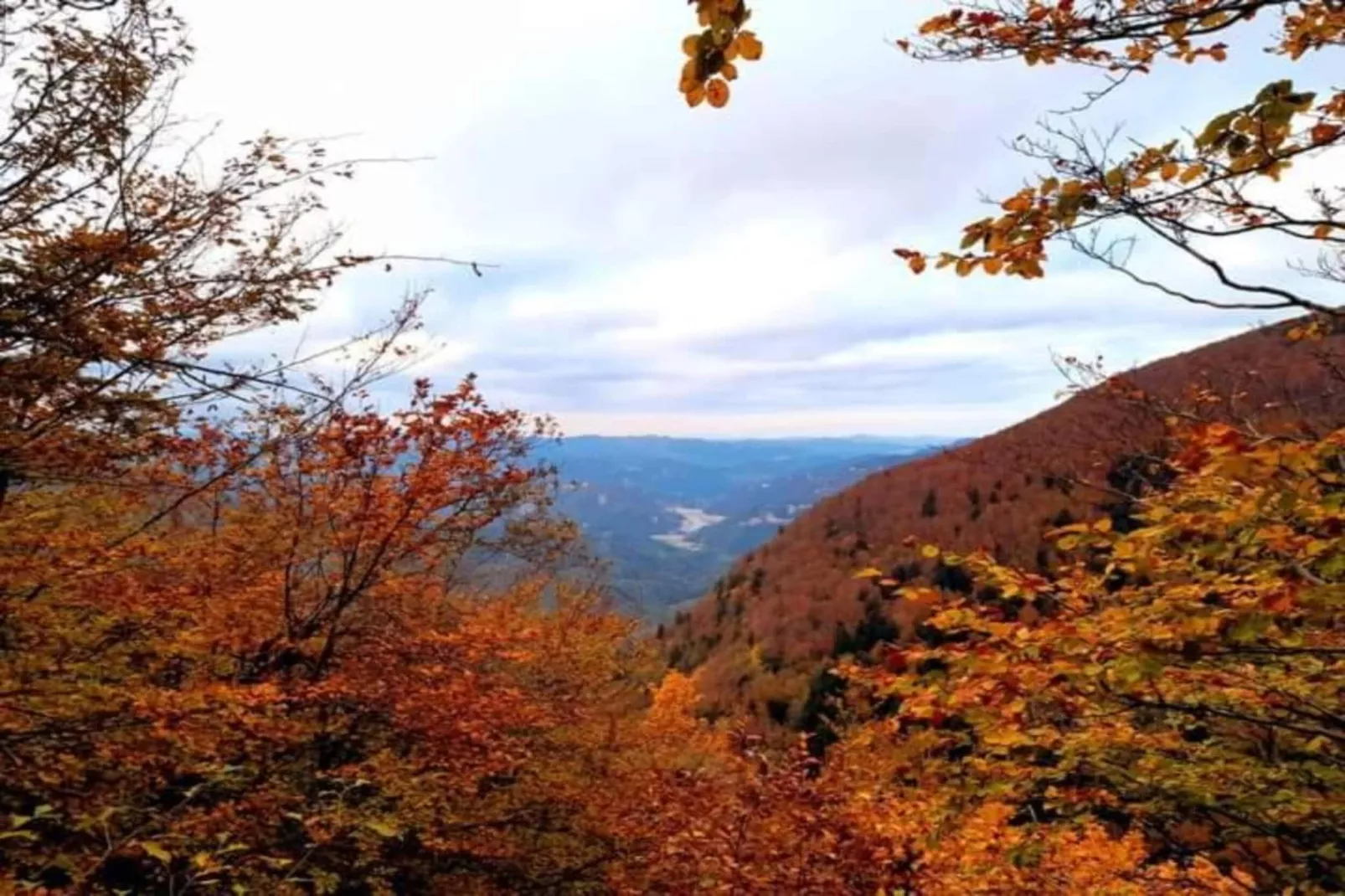 Le Paradis et Espace-Areas within 20km in summer