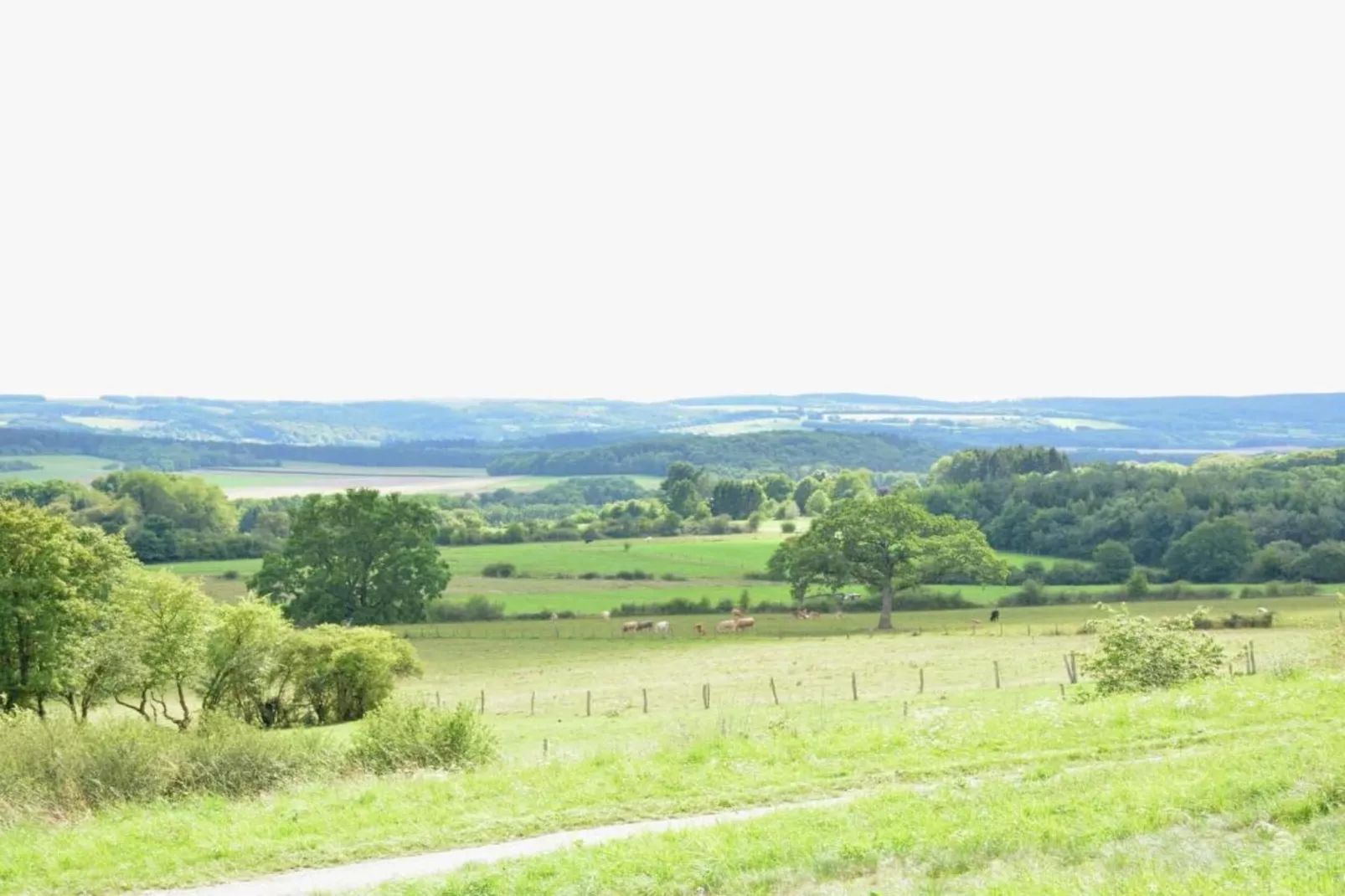 Le Vieux Tilleul du Château-Zones été à 20 km