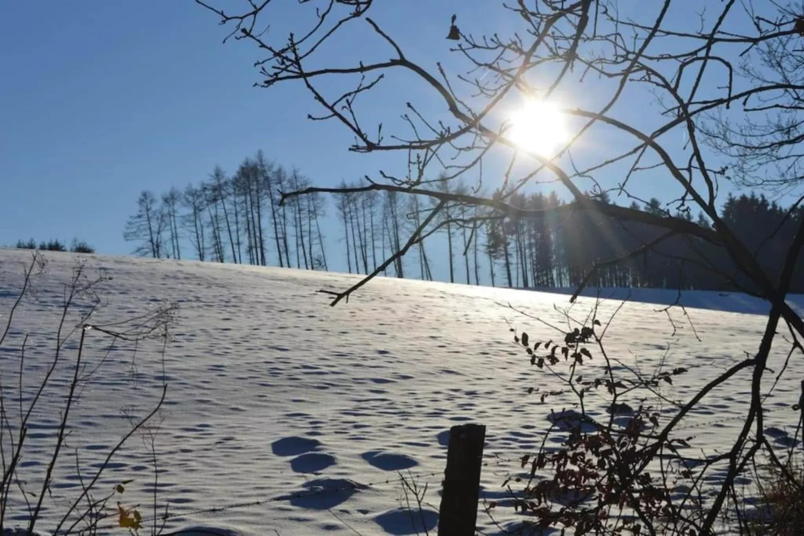 Horécalienne-Area within 20km in winter