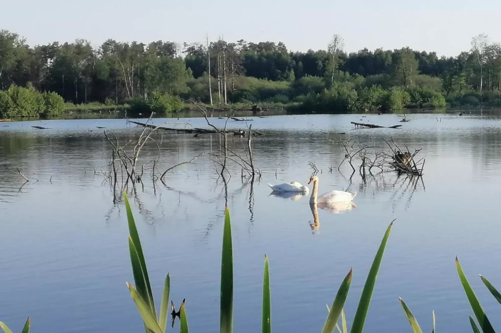 Le Bochetay 12-Areas within 20km in summer