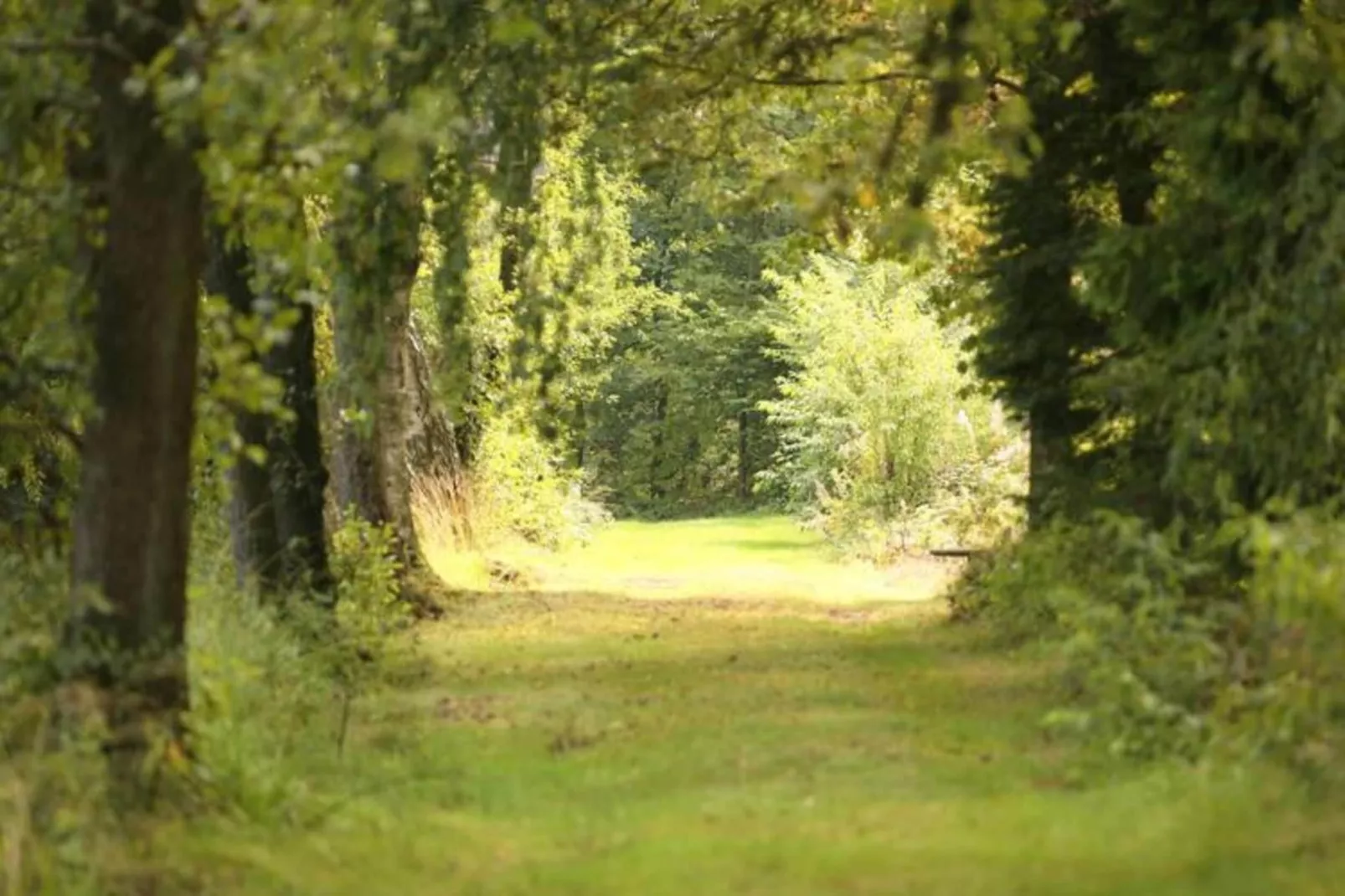Les Sittelles-Areas within 20km in summer