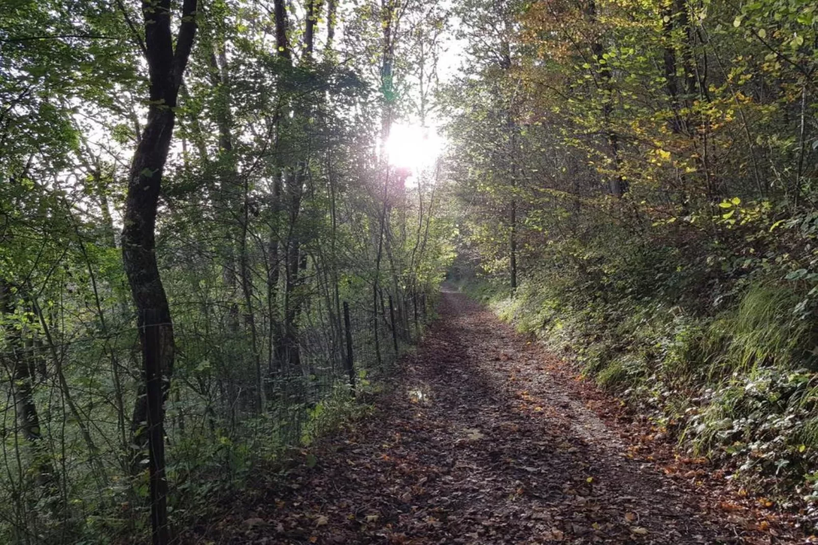 Gite du Viroin 1-Areas within 20km in summer