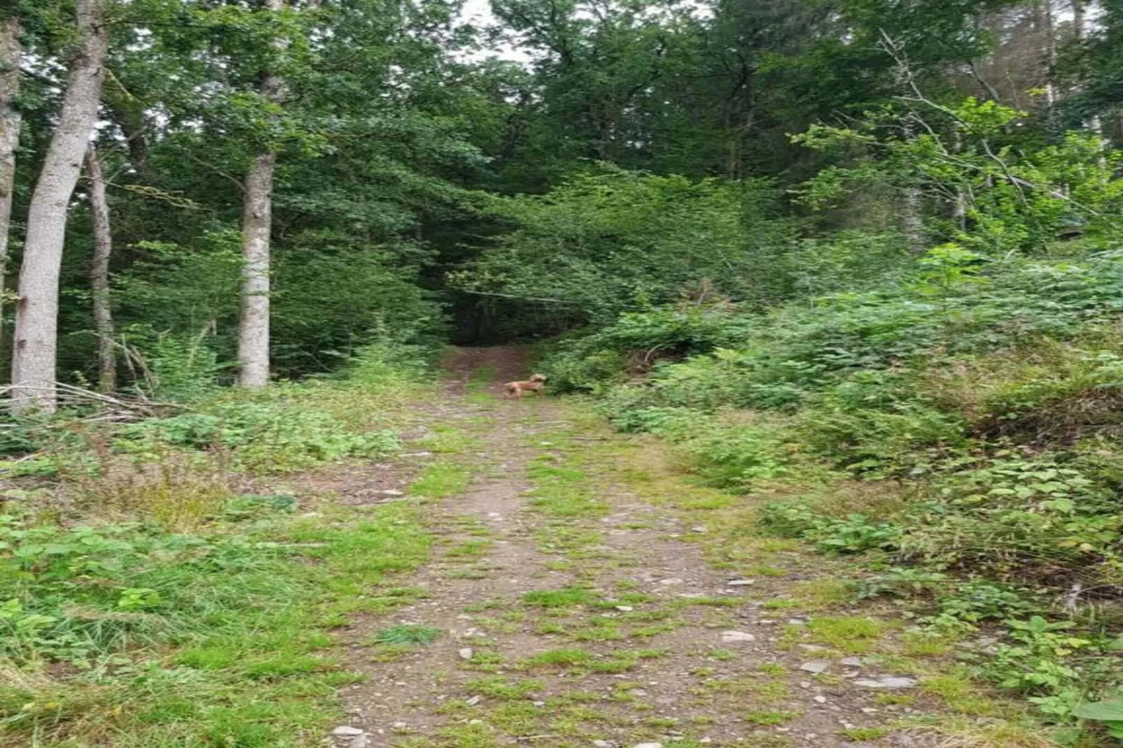 Aux Hirondelles-Zones été à 20 km