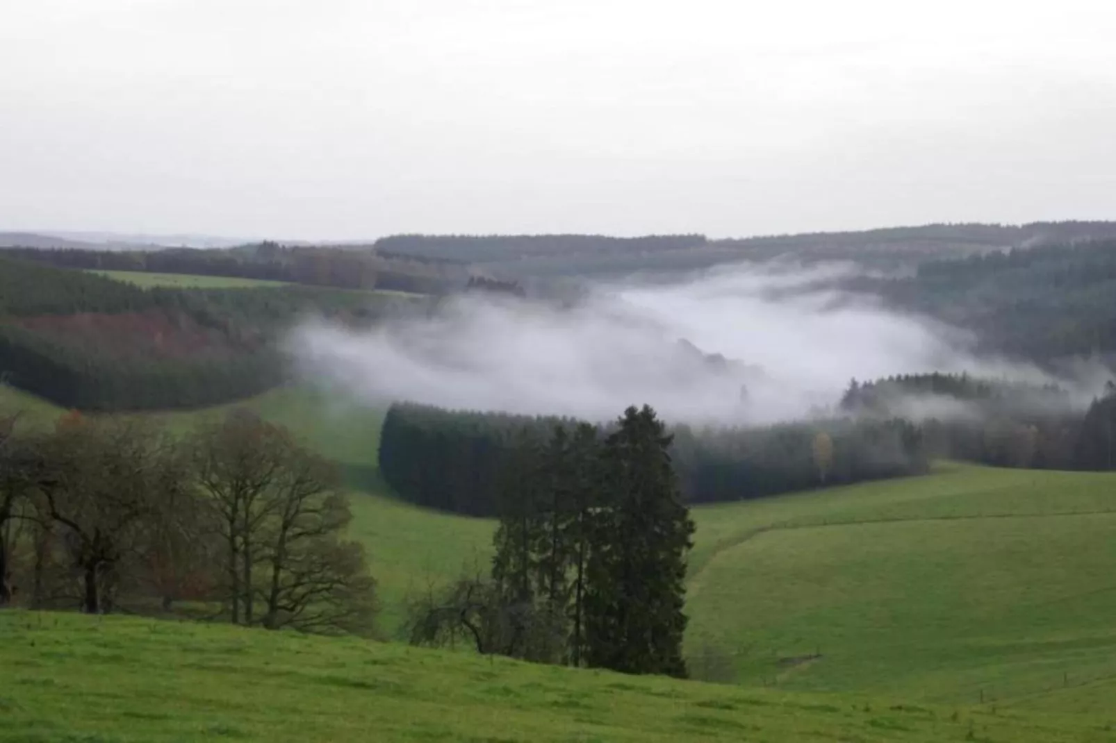 Petit Wilogne-Areas within 5km in summer