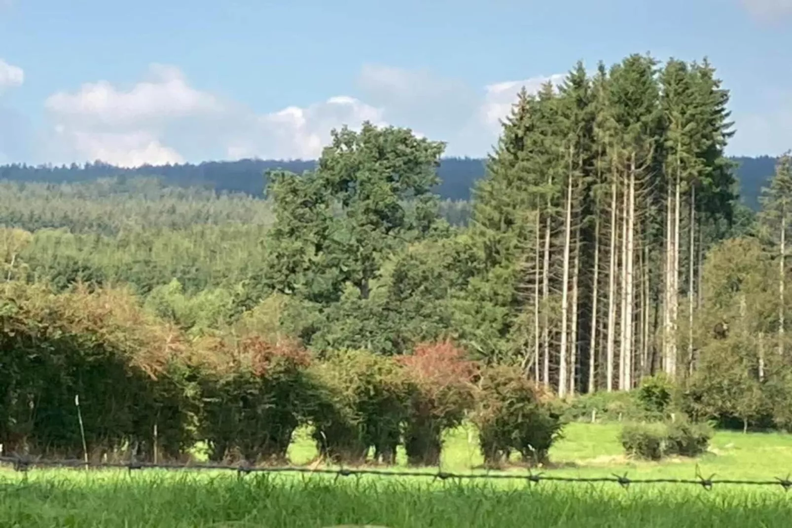 La Hetraie-Zones été à 20 km