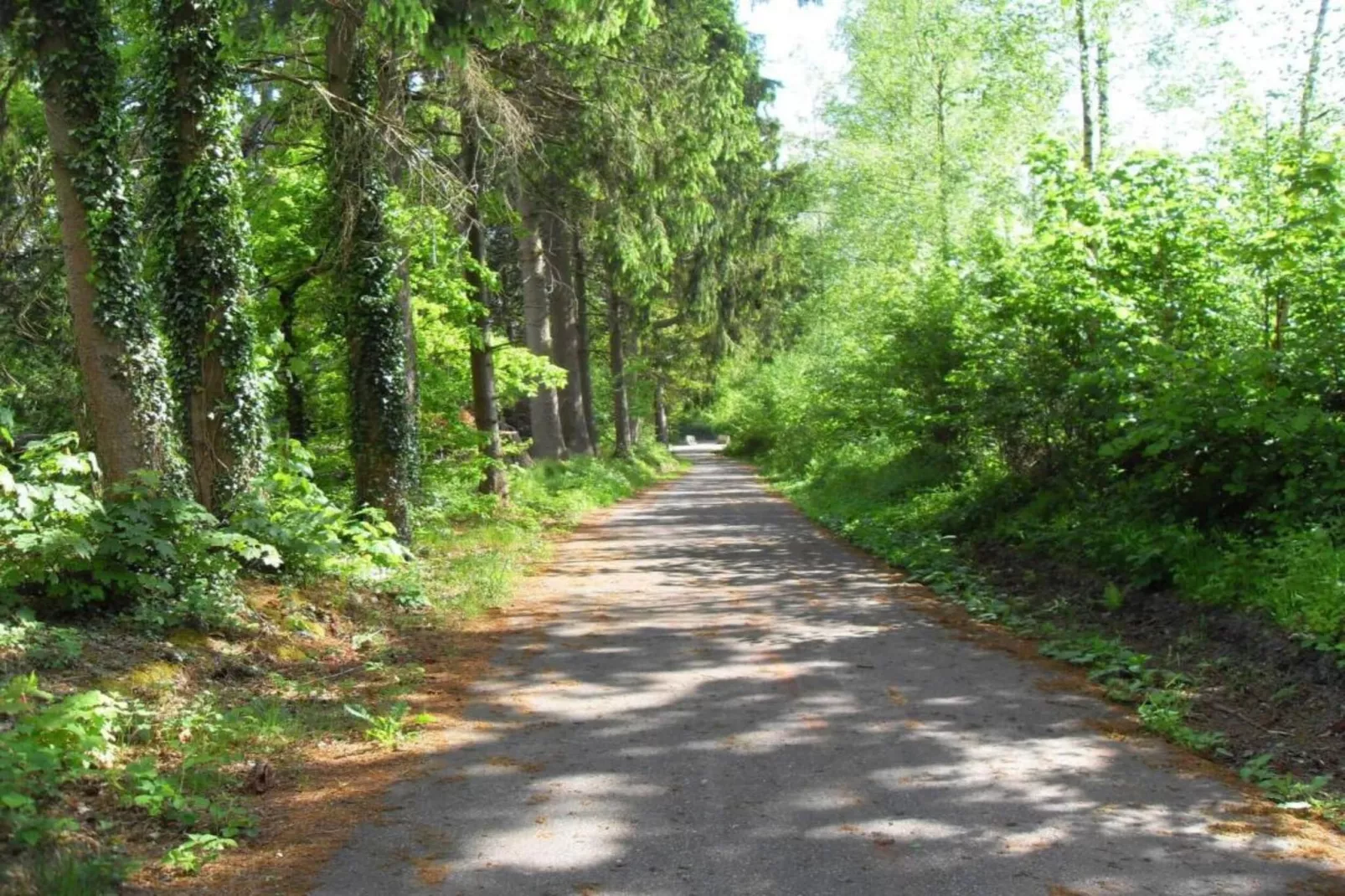 Gite la Randonnee-Gebiete Sommer 20 km
