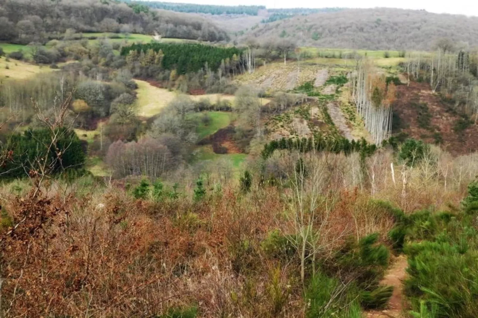 Les Petits Cotteaux-Areas within 20km in summer