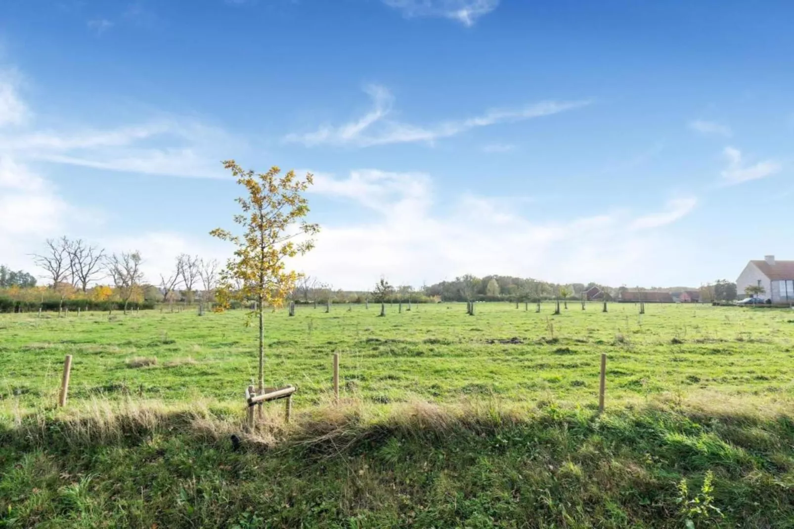Casteeldoorn-Areas within 20km in summer