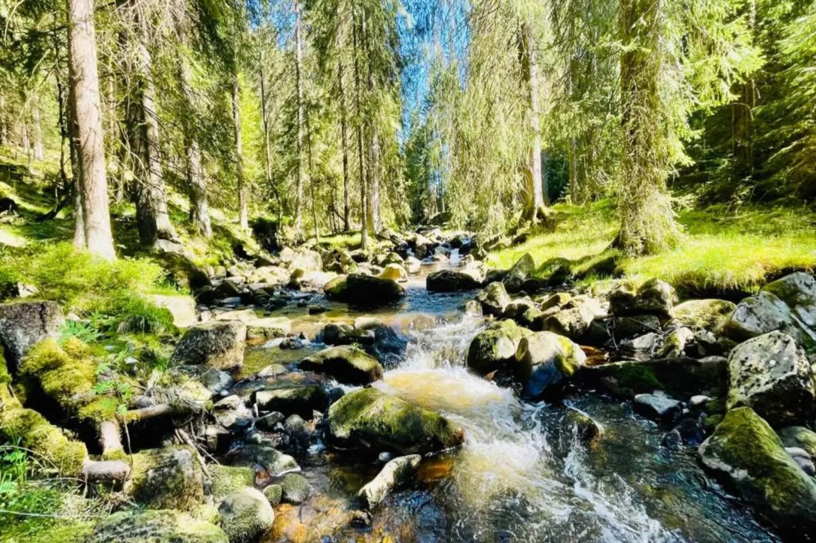 Abertamy-Areas within 5km in summer